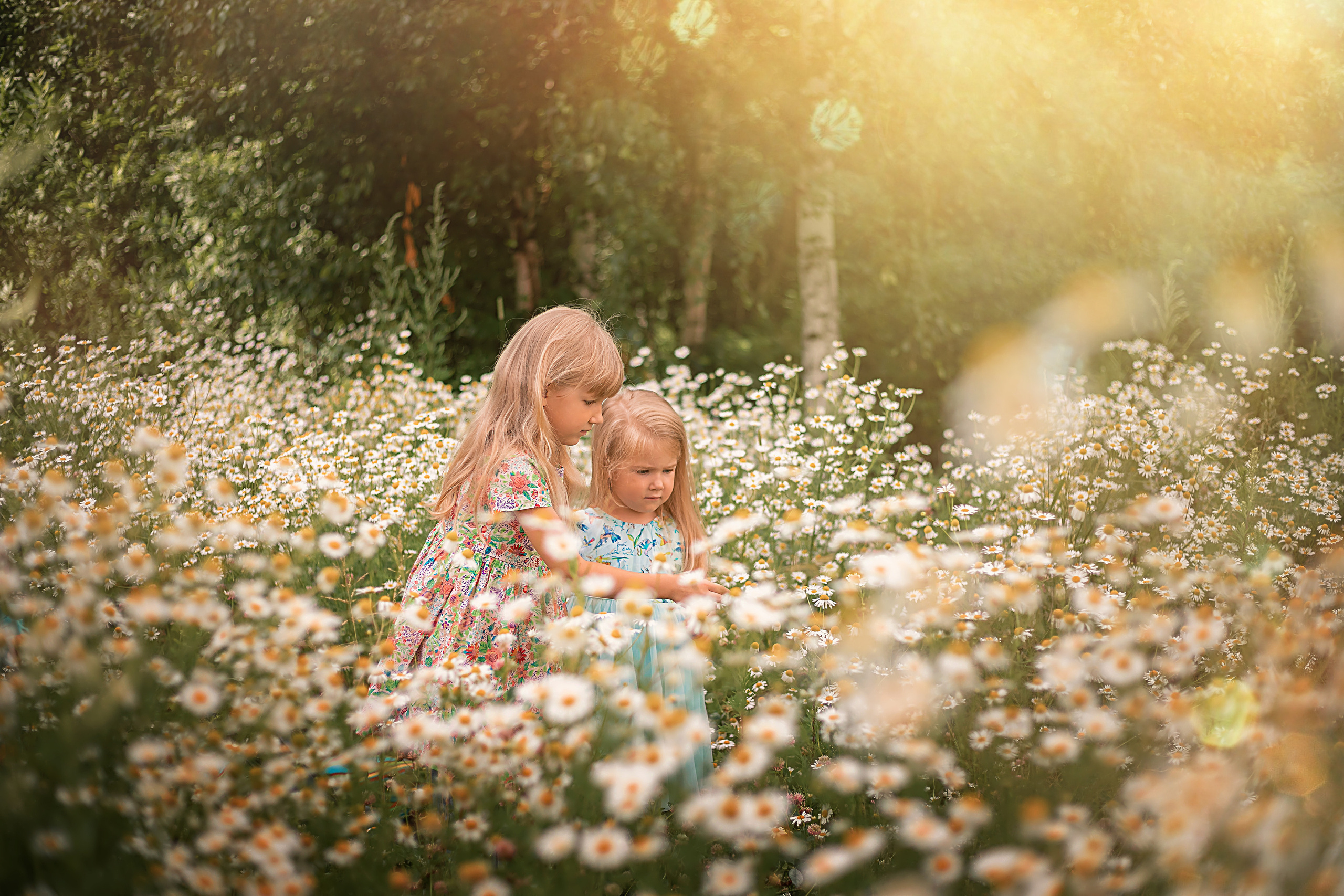 ЛЕТО. Дарья Бухреева — фотограф, видеограф и фототерапевт. Москва и мир