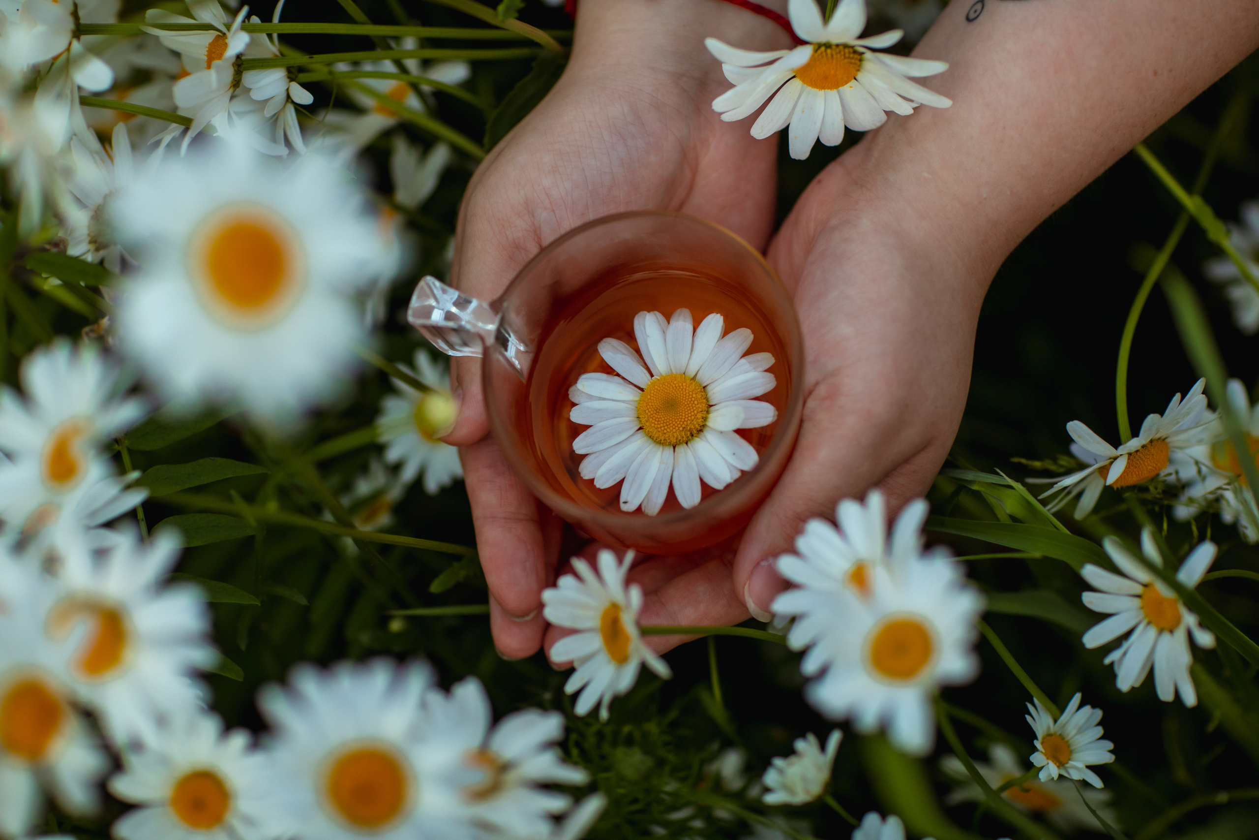 ЛЕТО. Дарья Бухреева — фотограф, видеограф и фототерапевт. Москва и мир