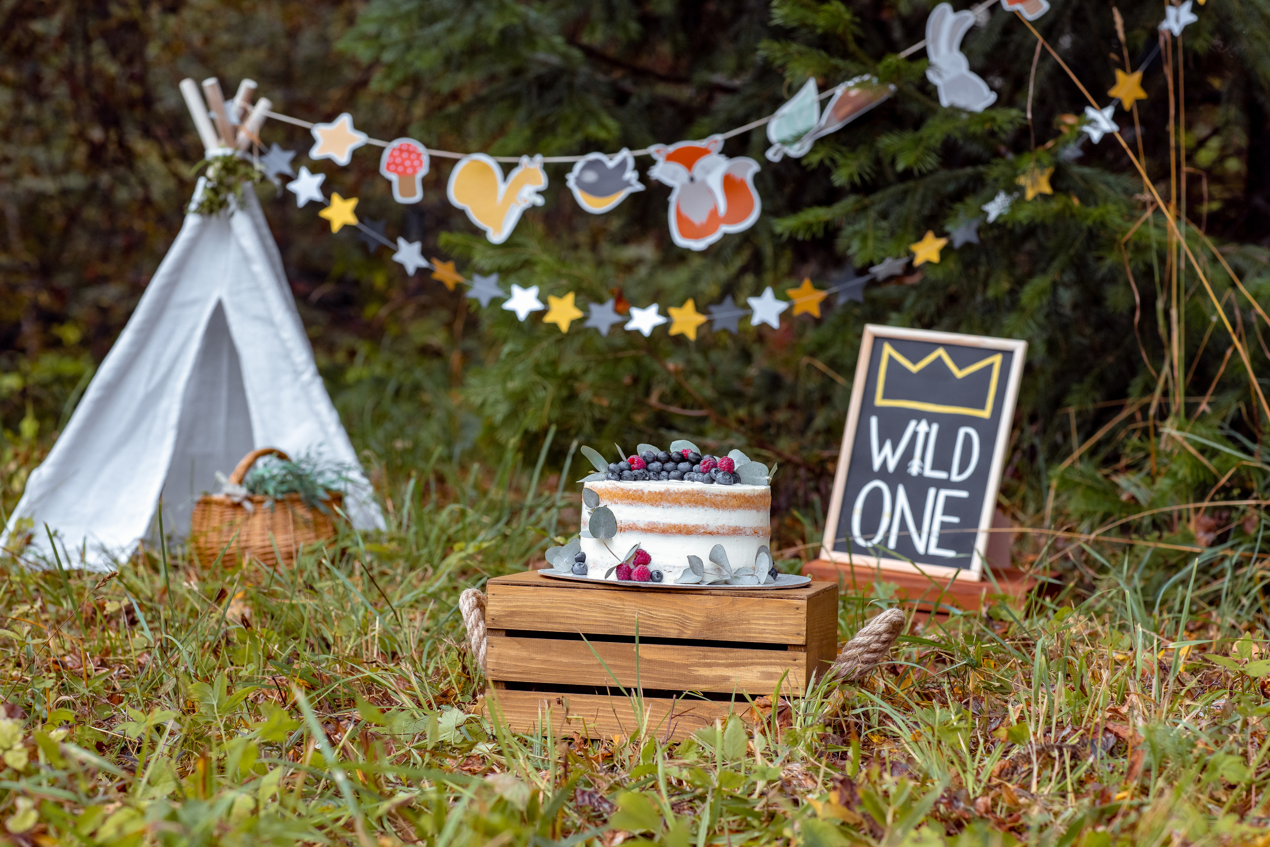 ФОТОПИКНИКИ. Дарья Бухреева — фотограф, видеограф и фототерапевт. Москва и мир