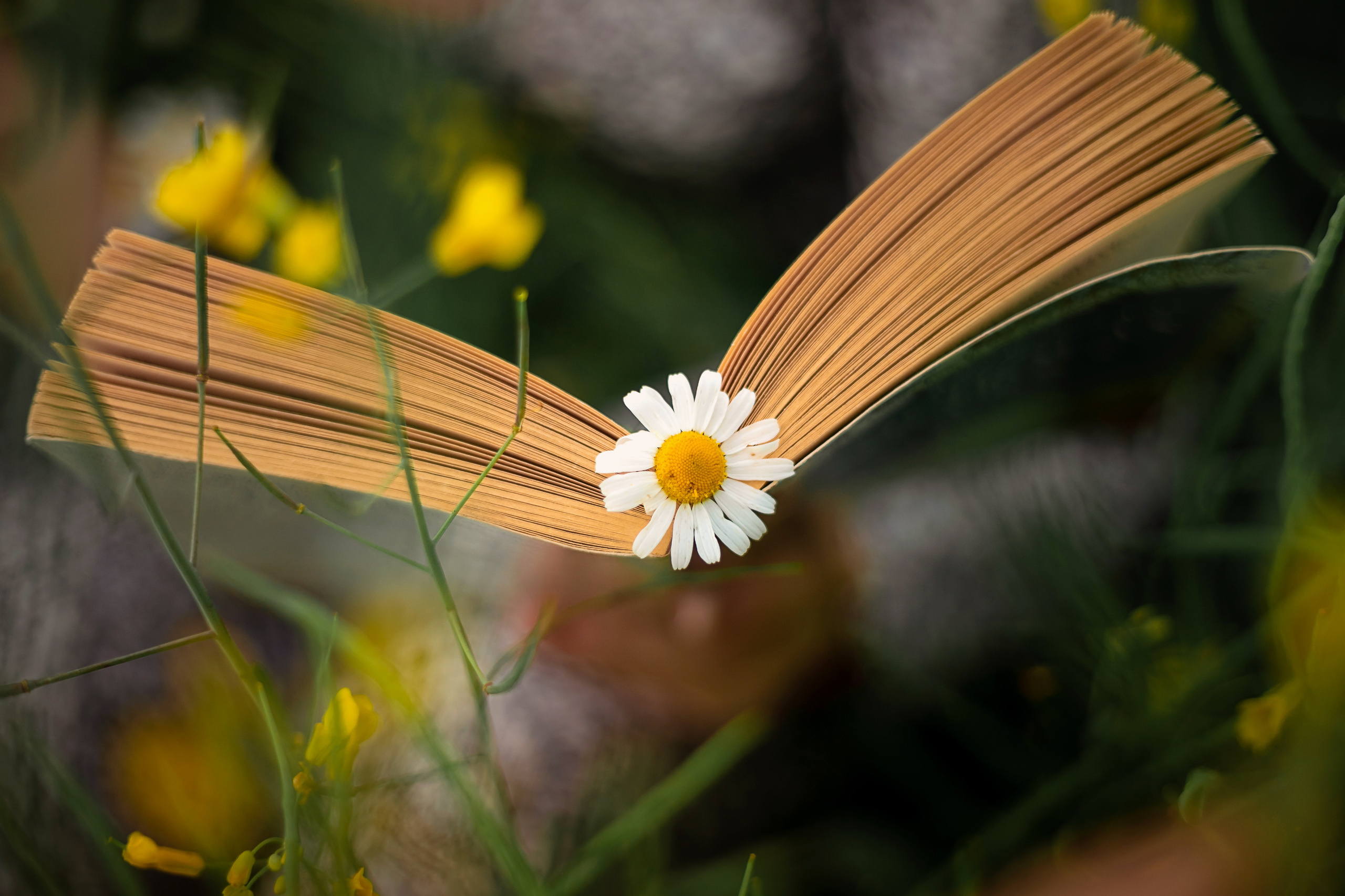 ЛЕТО. Дарья Бухреева — фотограф, видеограф и фототерапевт. Москва и мир