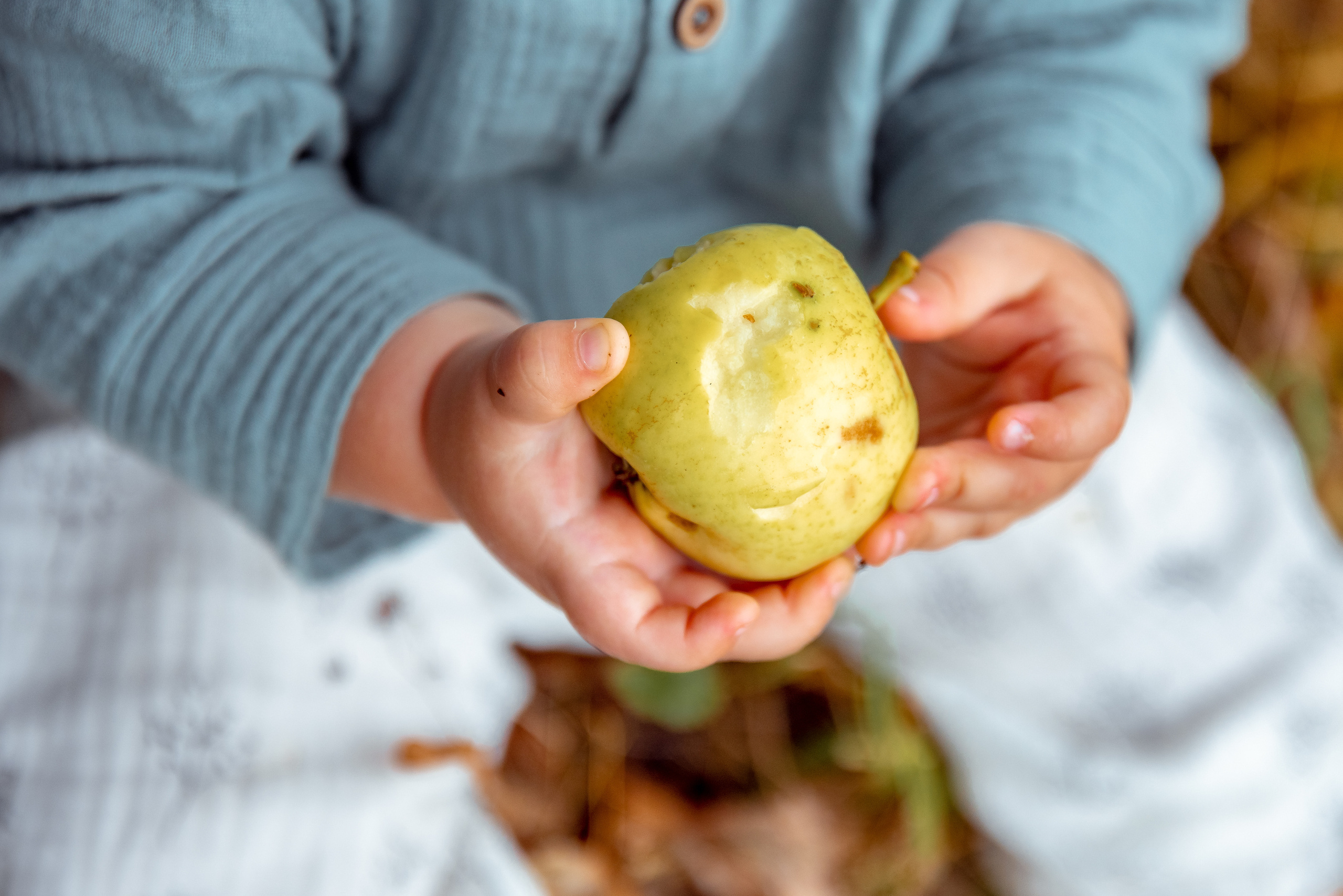 ФОТОПИКНИКИ. Дарья Бухреева — фотограф, видеограф и фототерапевт. Москва и мир