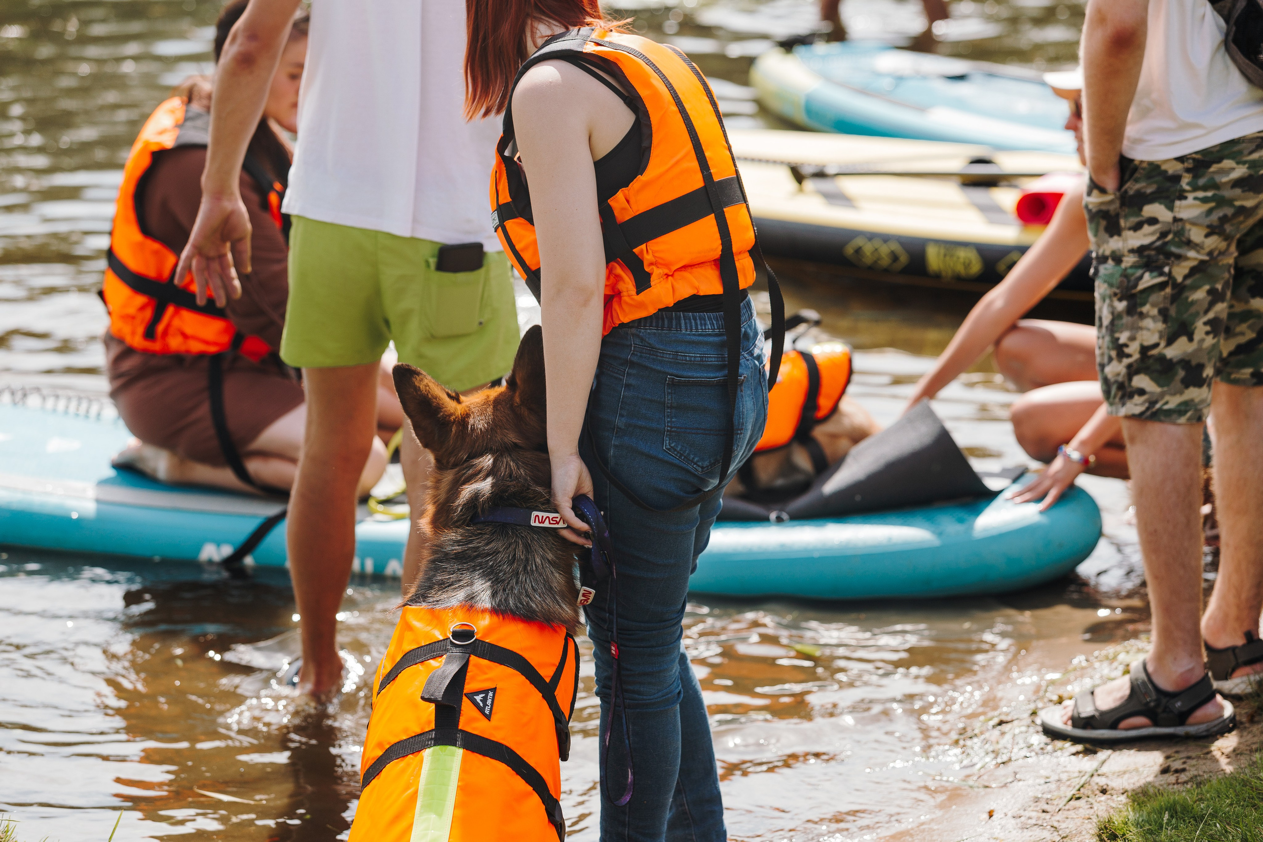 Petshop Sup day. Фотограф анималист Кристина Карпова, Москва