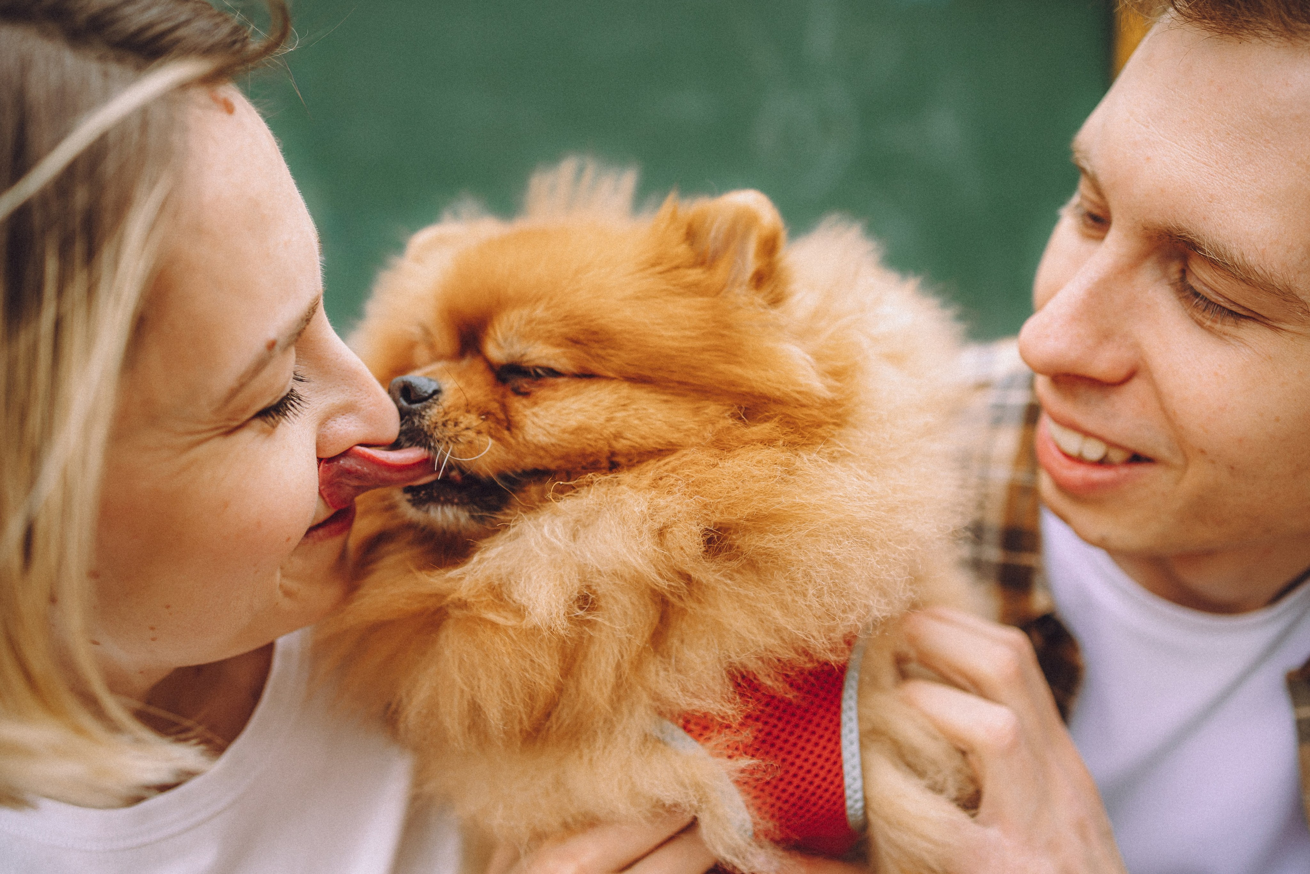 Лорик и его семья