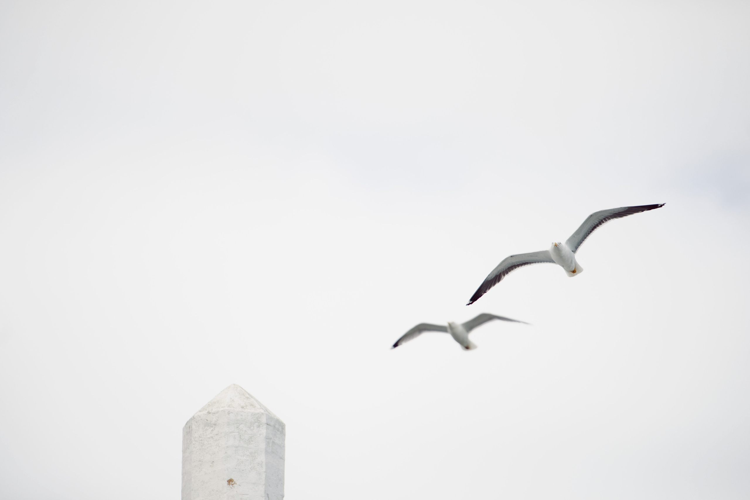 Анна и Дэвид. Свадьба, Великобритания. Семейный фотограф Анна Дубовская