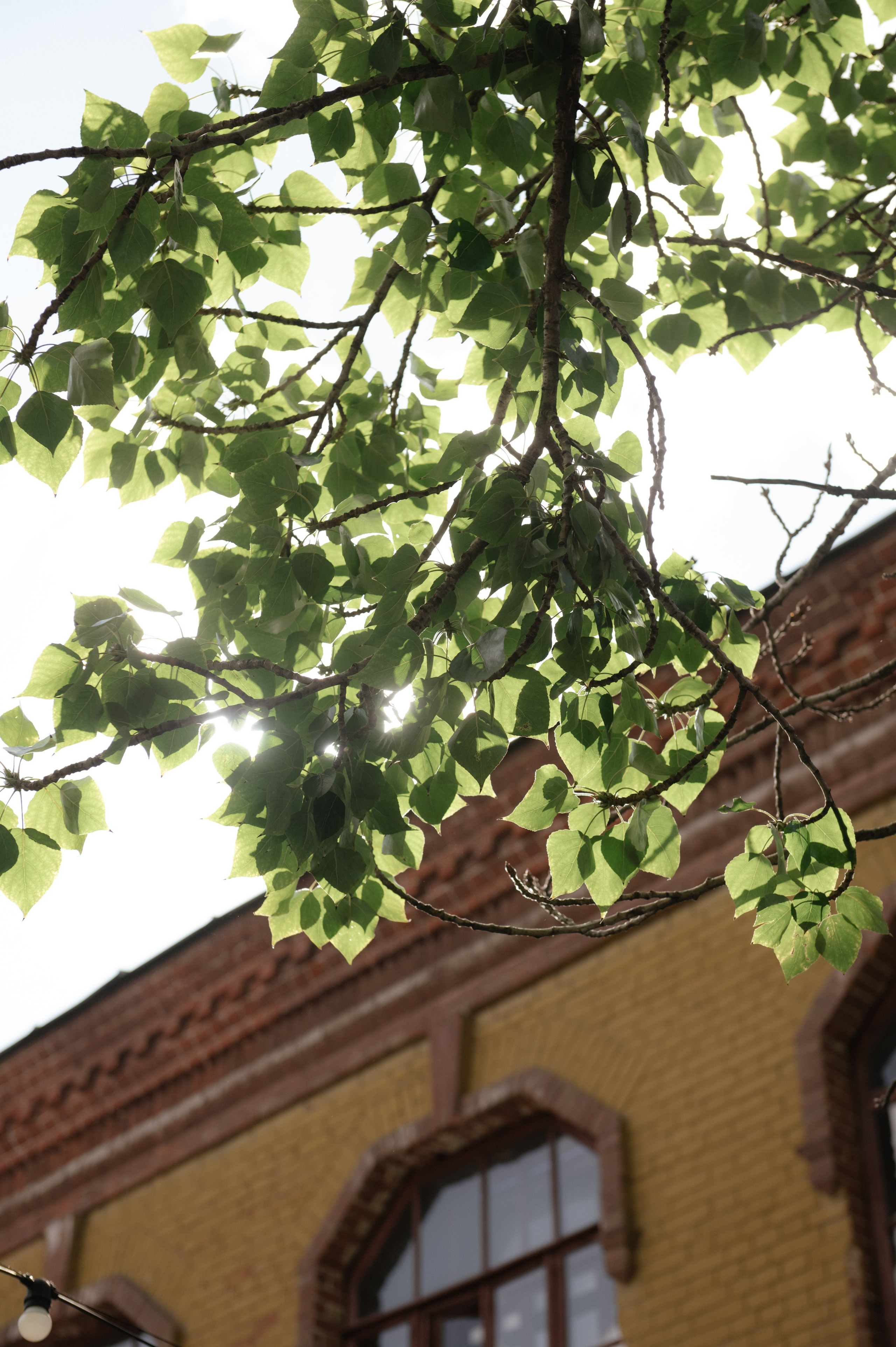 VS. Светлана Варфоломеева, женский и свадебный фотограф в Саратове