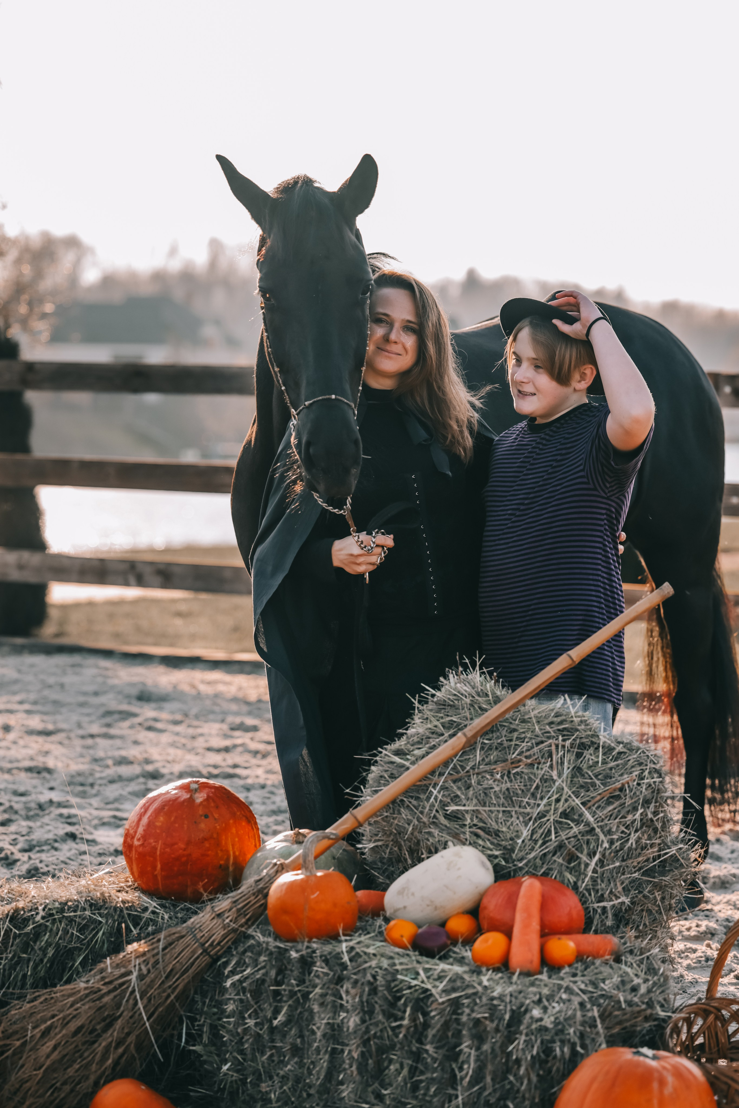 КСК Ждановское фотосессия. Фотосессии с лошадьми