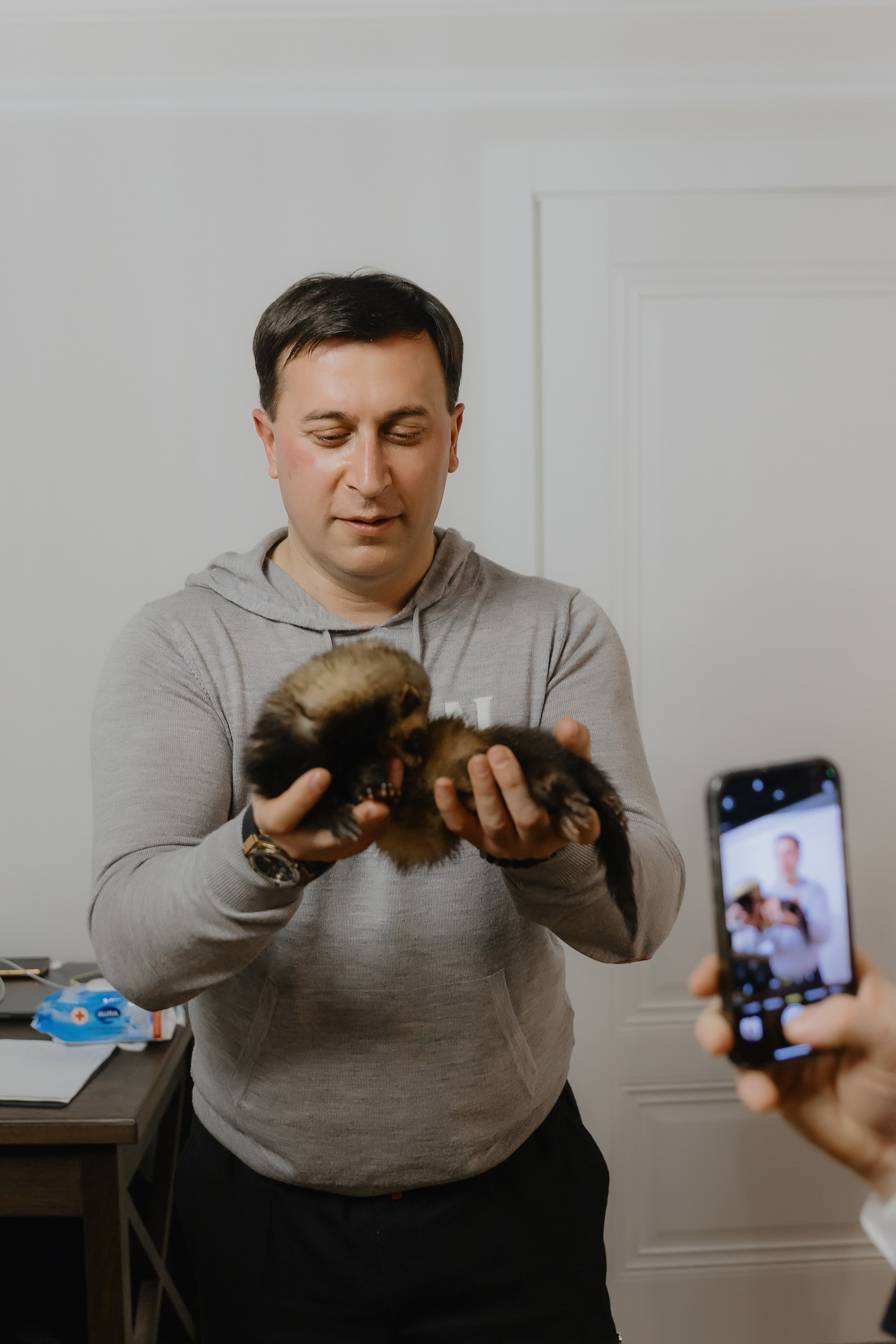 Открытие нового пространства интерьерного салона L. DECO в феврале 2025. L. Deco интерьерный салон. Краски/обои/лепной декор