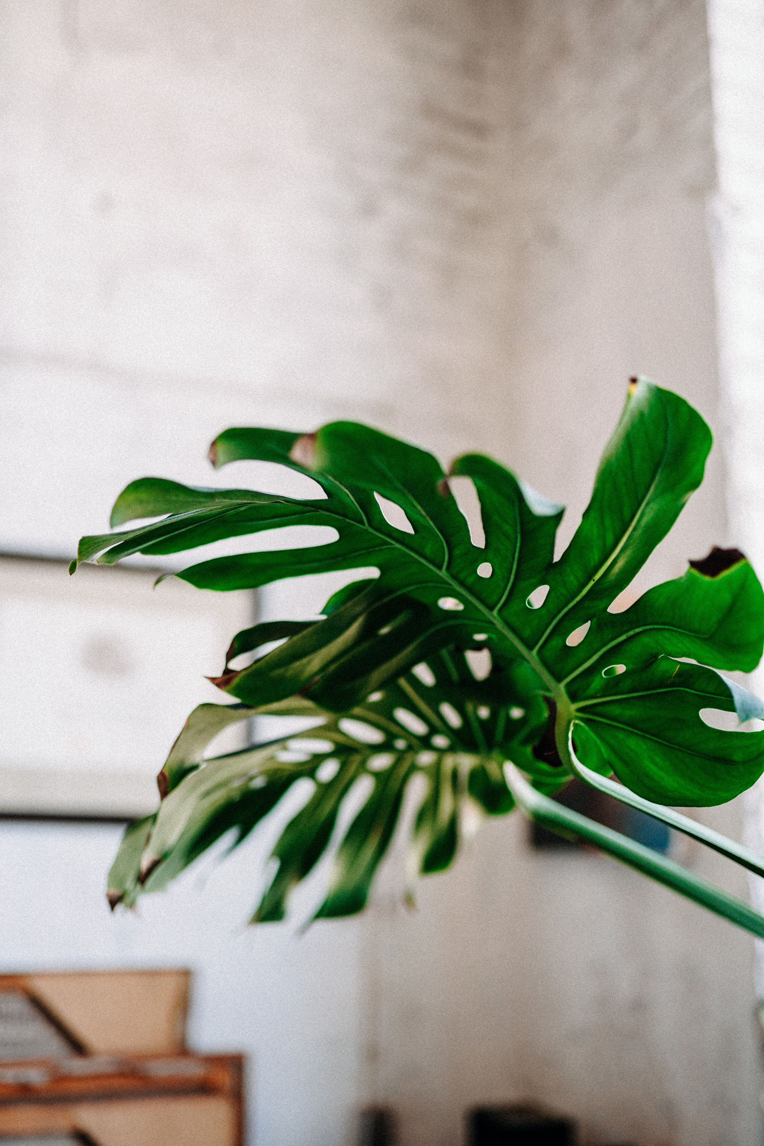 Мастерская Игоря Михайленко. Фотограф с психологическим образованием