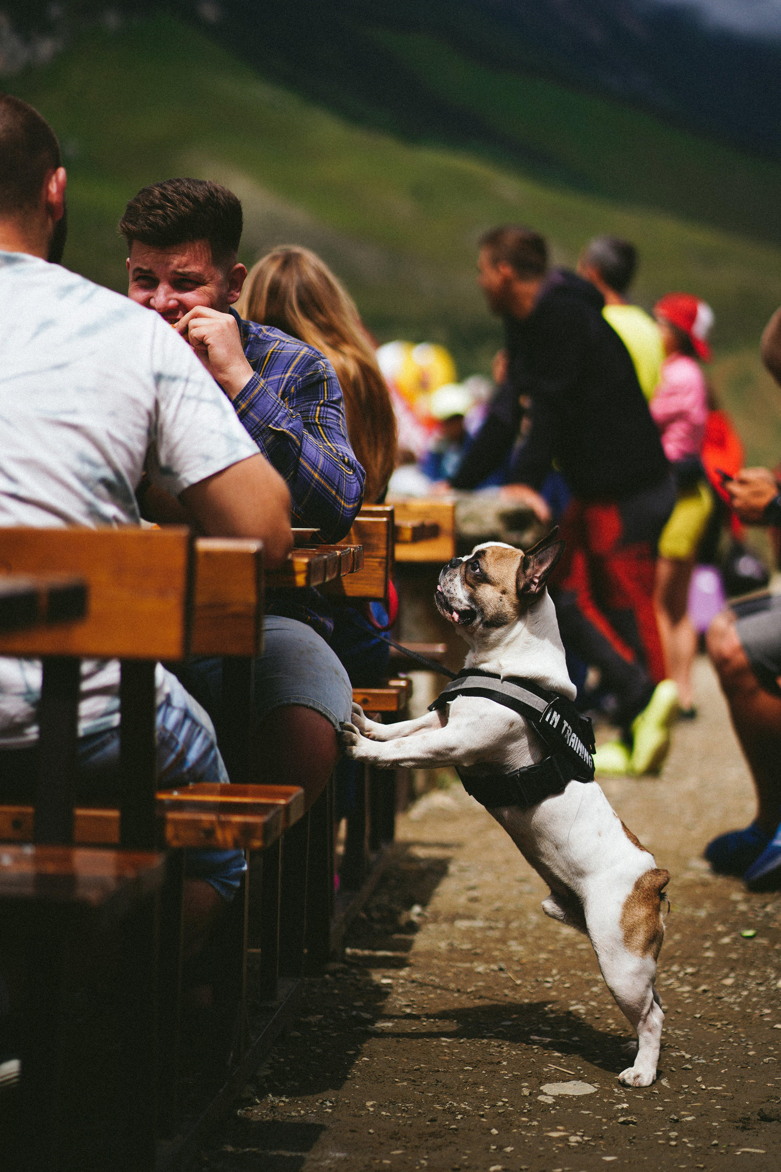 Чегем. Фотограф с психологическим образованием