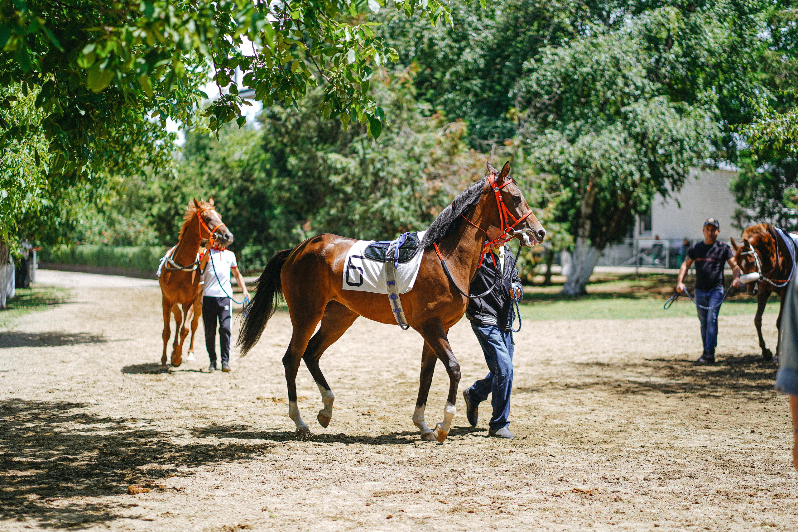 Скачки в стиле джаз. Фотограф с психологическим образованием