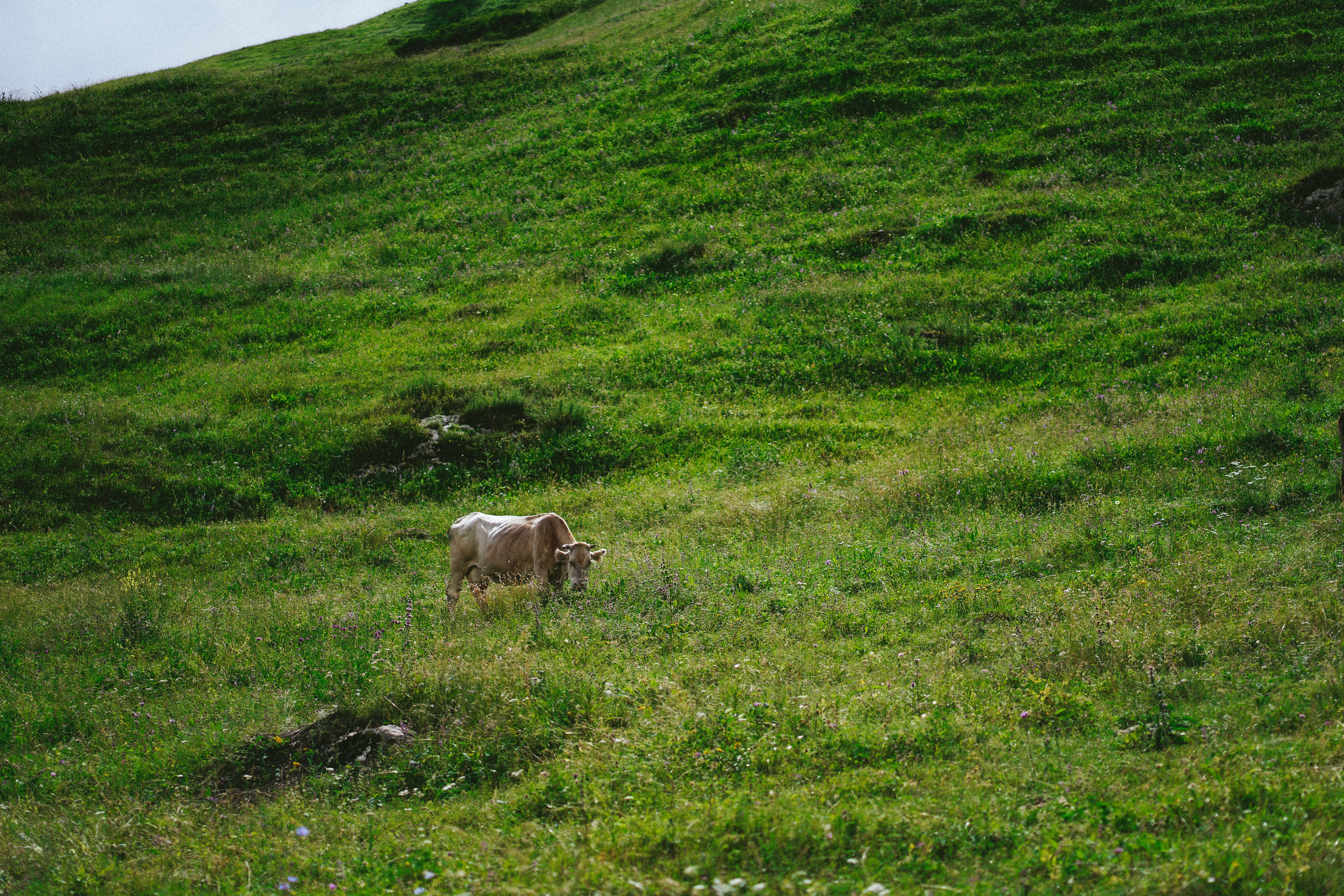 Чегем. Фотограф с психологическим образованием