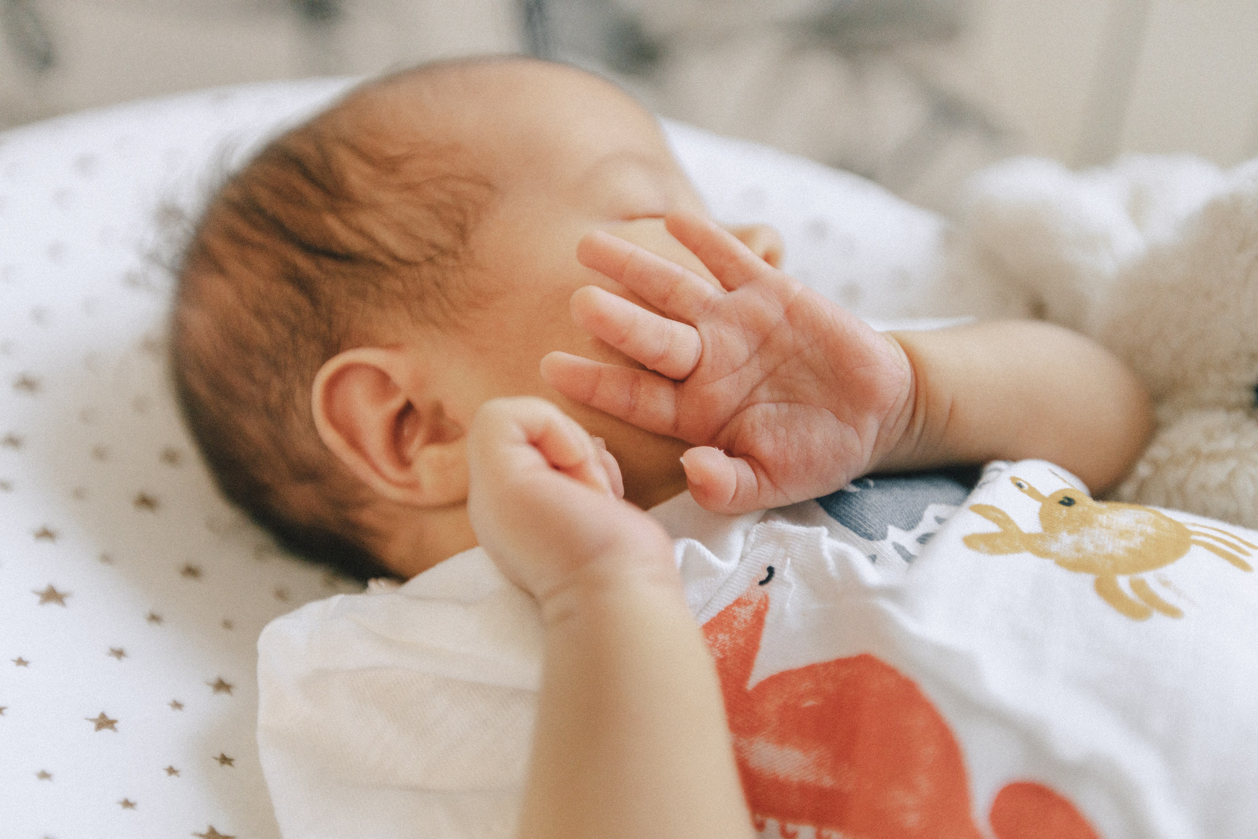 Ира, Леша, Максим и Майя. Фотограф Таганрог Любимая Надя