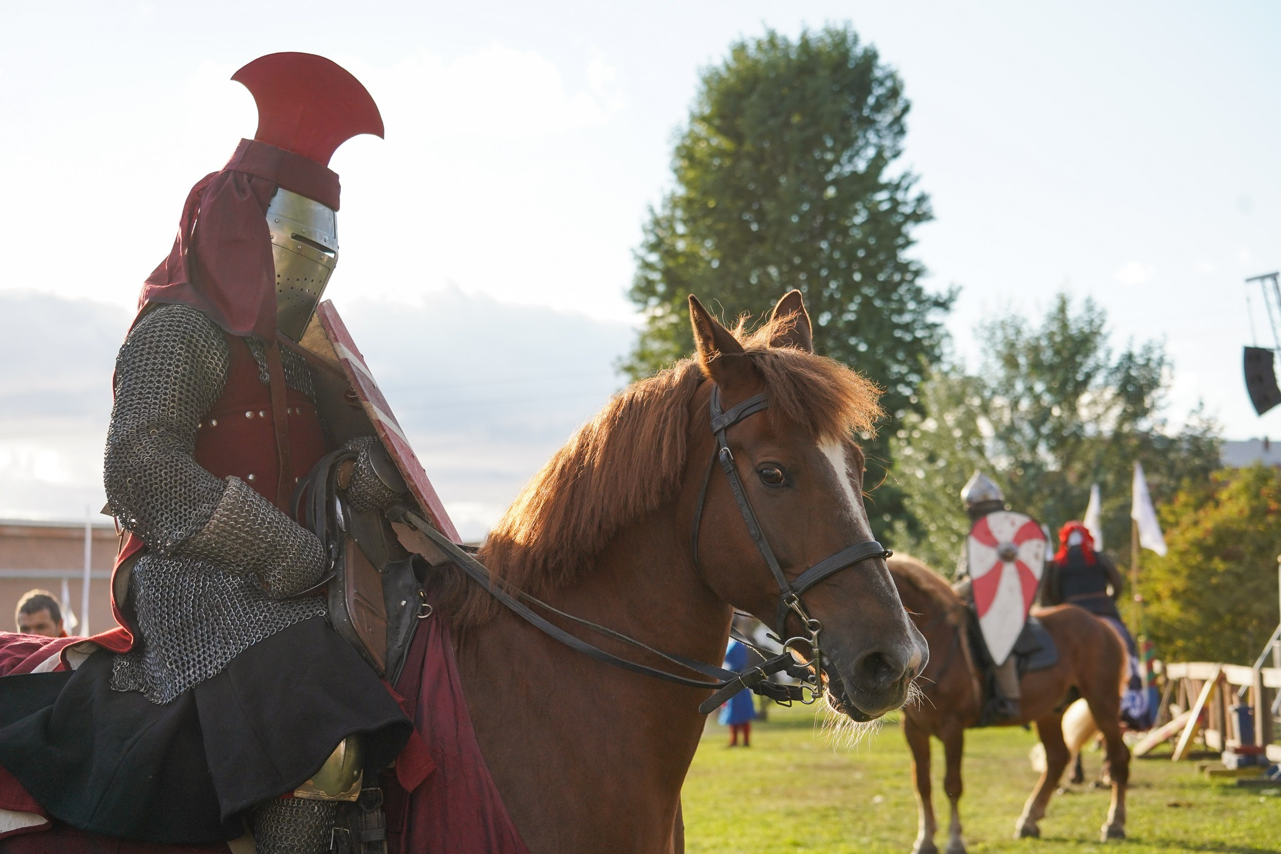 Рыцарский турнир в рамках фестиваля «Битва на Неве» Санкт-Петербург 2024 г. Фотограф-анималист, портретный фотограф в Чебоксарах Мария Садыкова