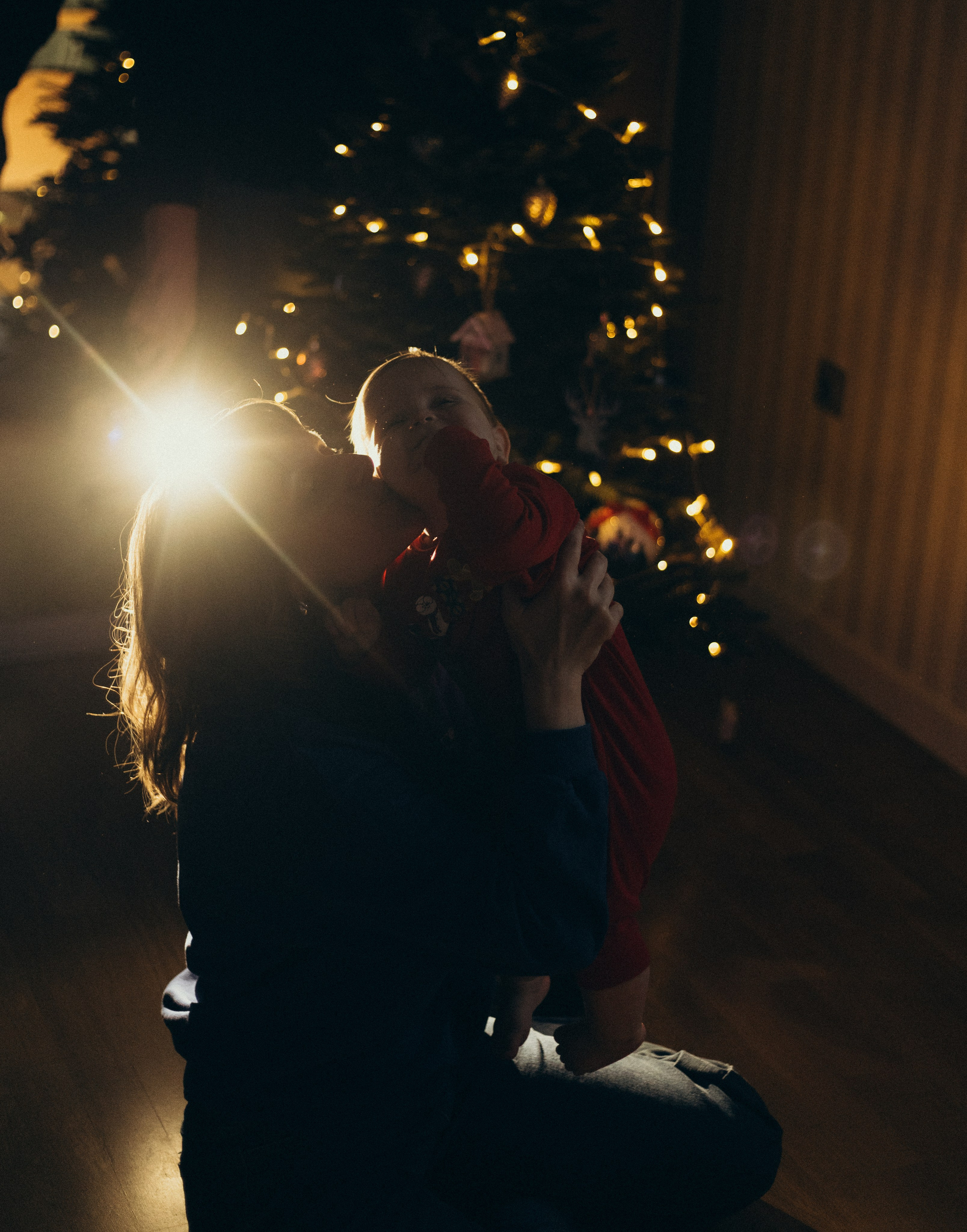 Домашняя история. Meryfotoidea