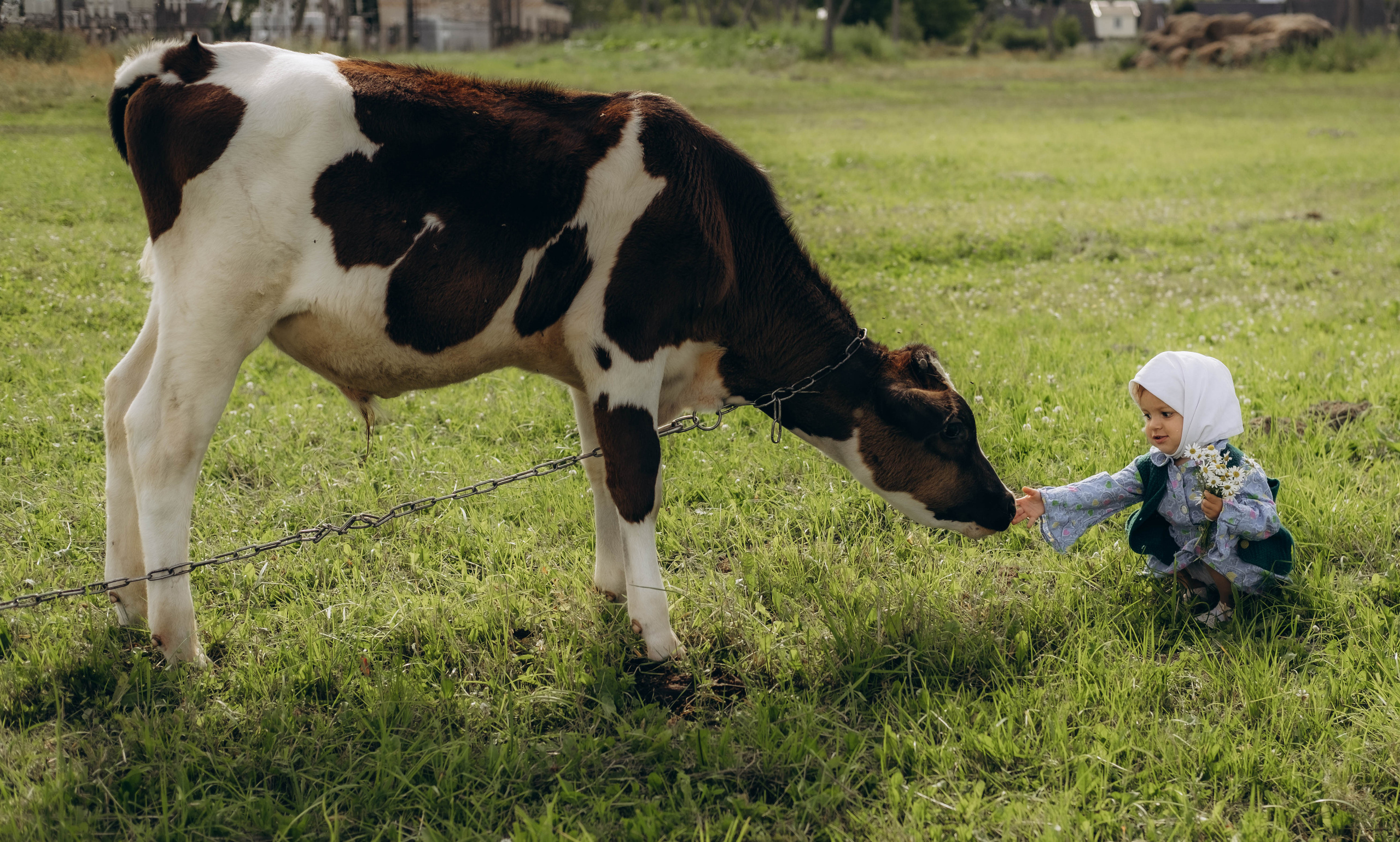 AMALYA. Главная