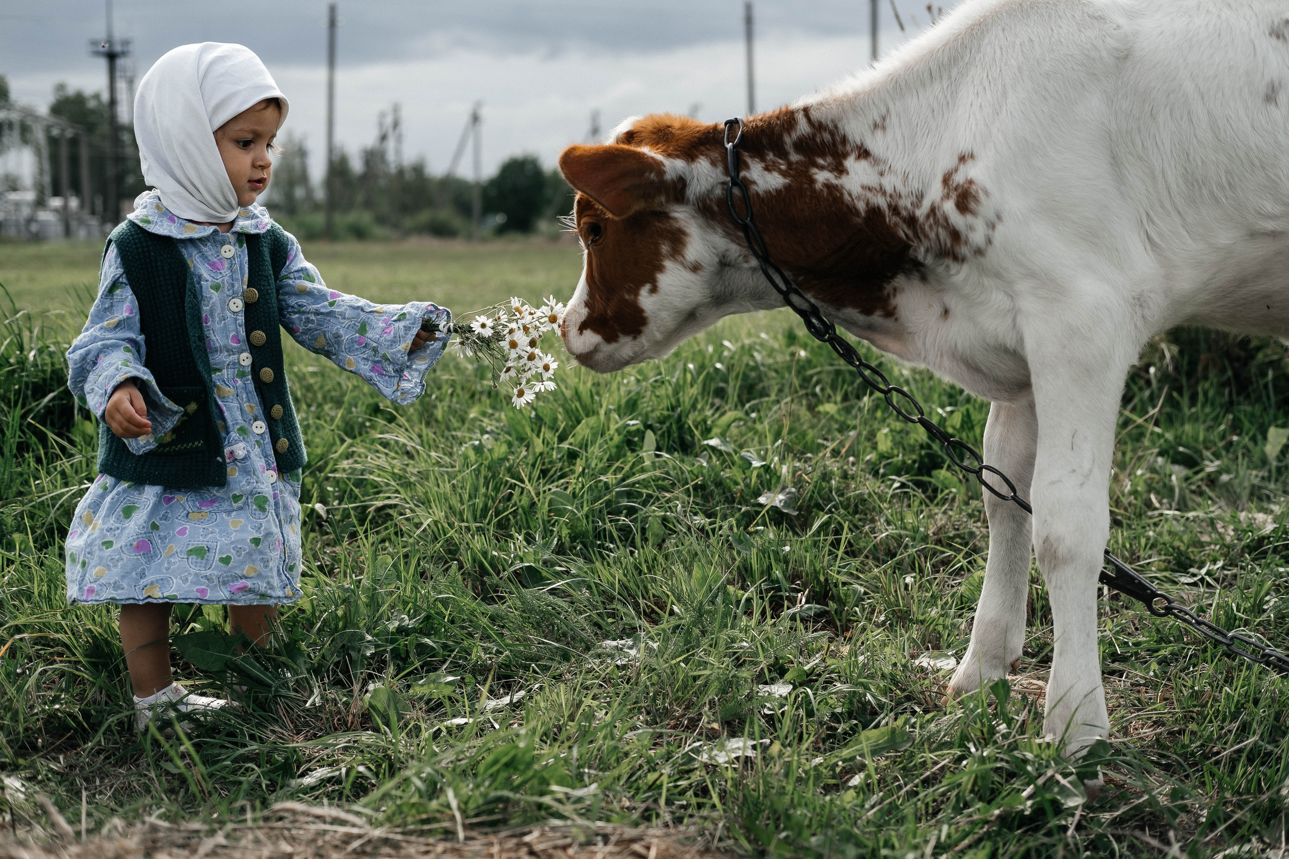 AMALYA. Главная