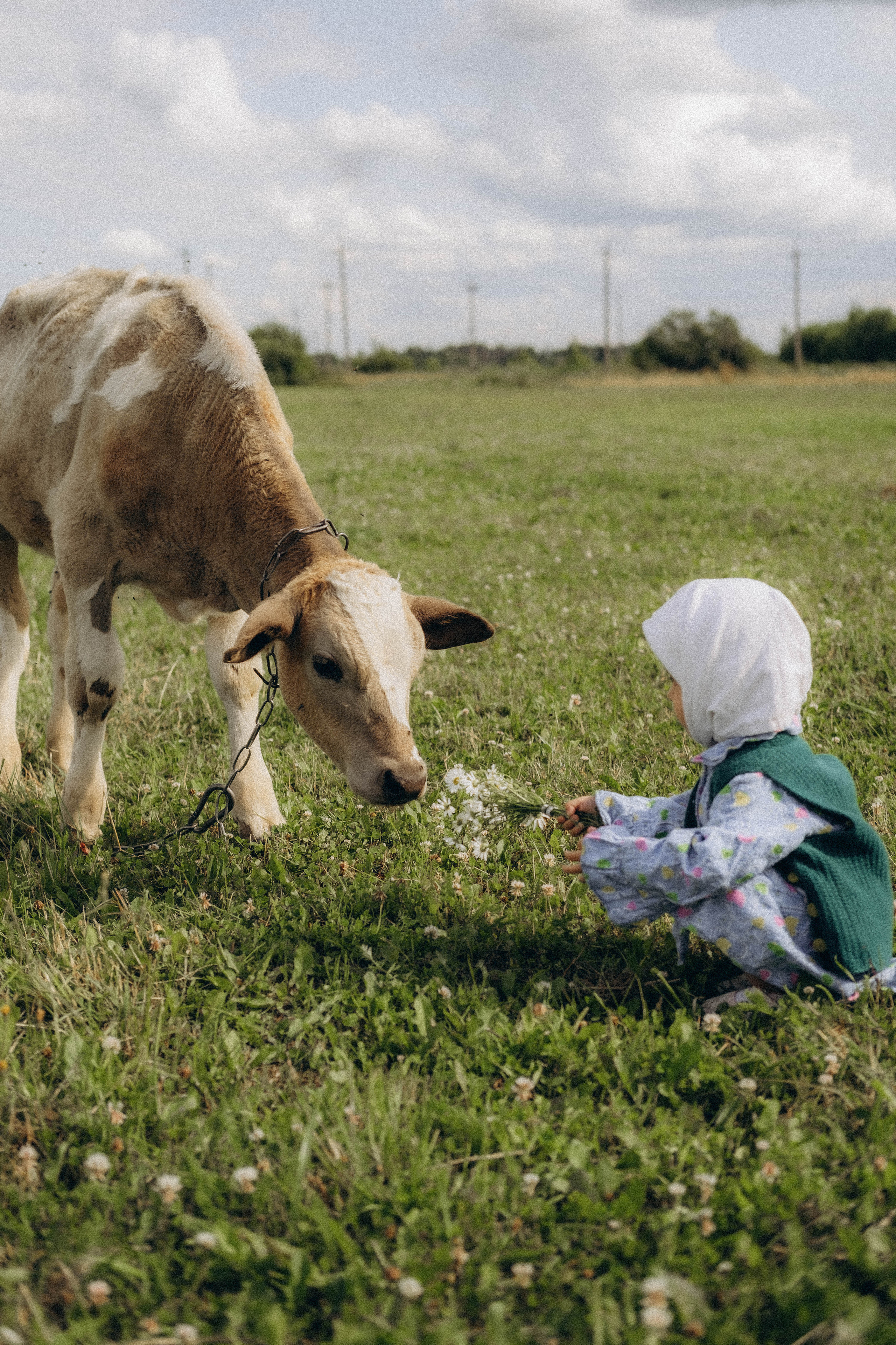 AMALYA. Главная