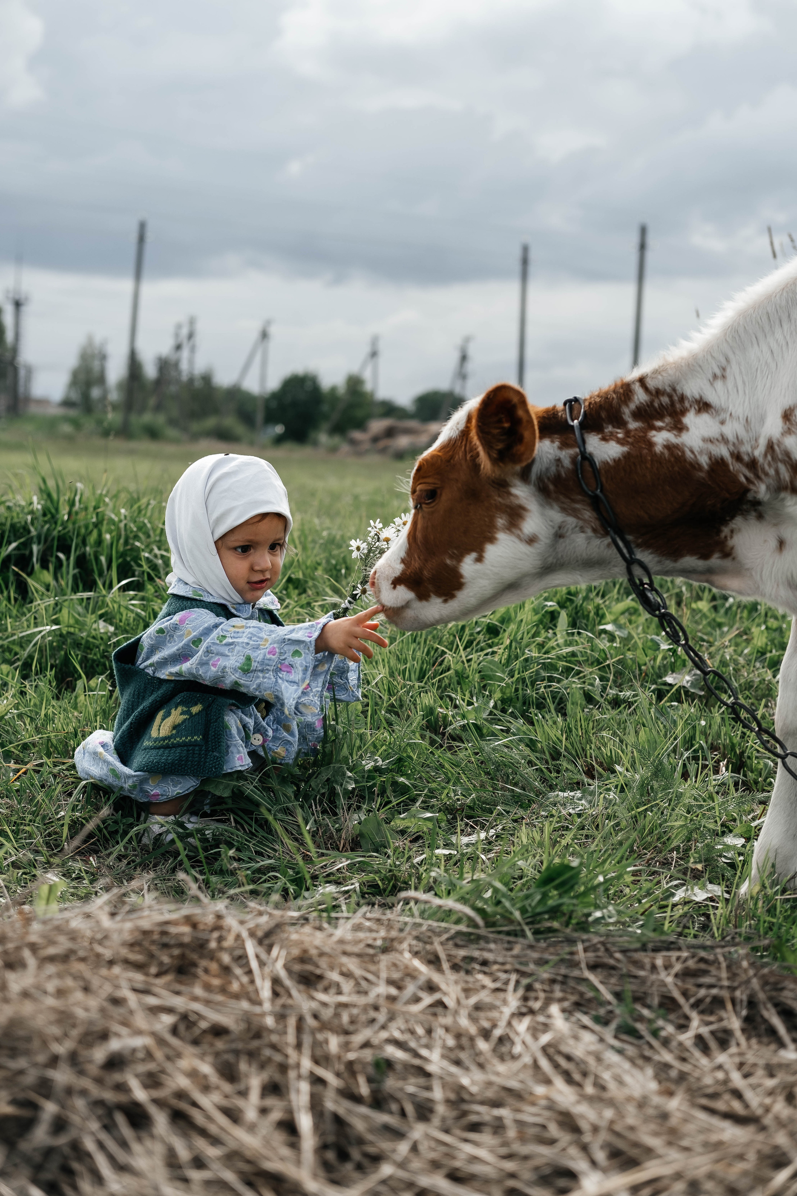 AMALYA. Главная