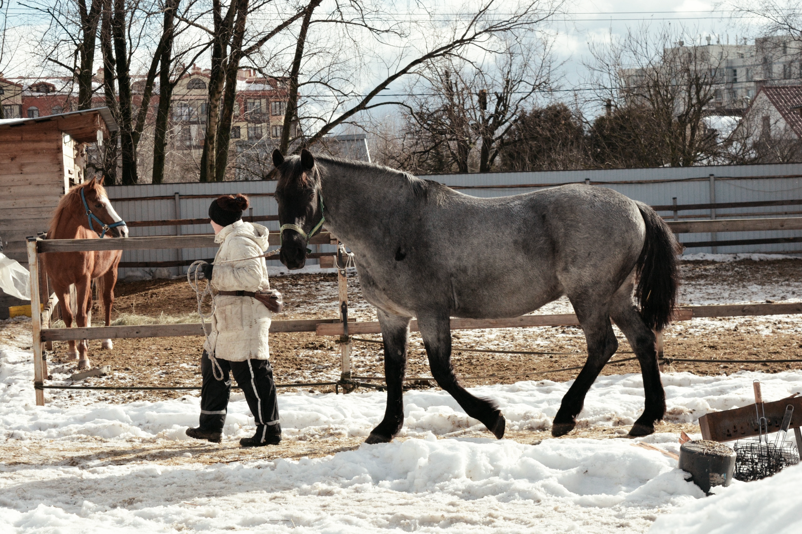 Reportage & Events. Фотограф Евгения Саботаж в г. Москва