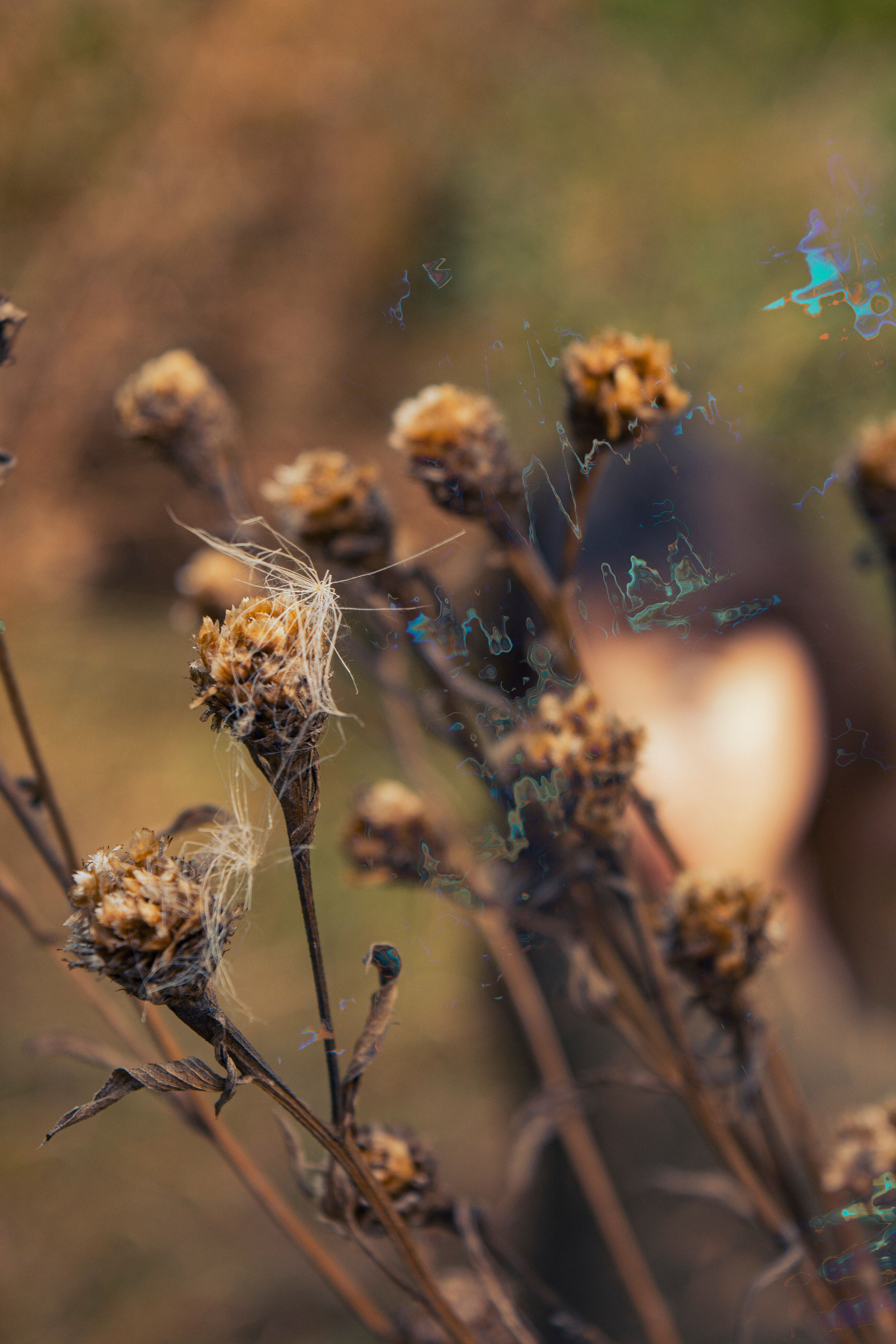 Осенняя фотосессия Марии. Фотограф Евгения Саботаж в г. Москва