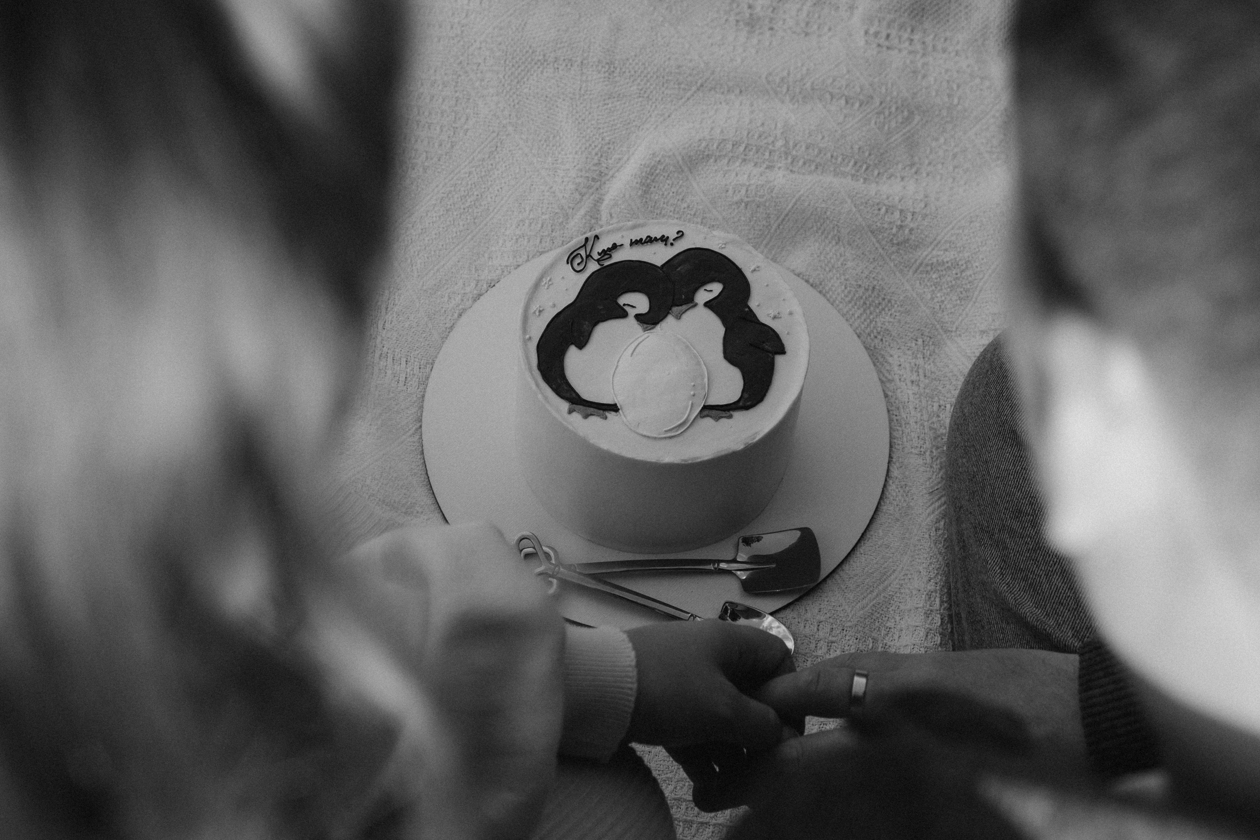 Дима и Аня. Семейный и женский фотограф в Москве Коновалова Олеся