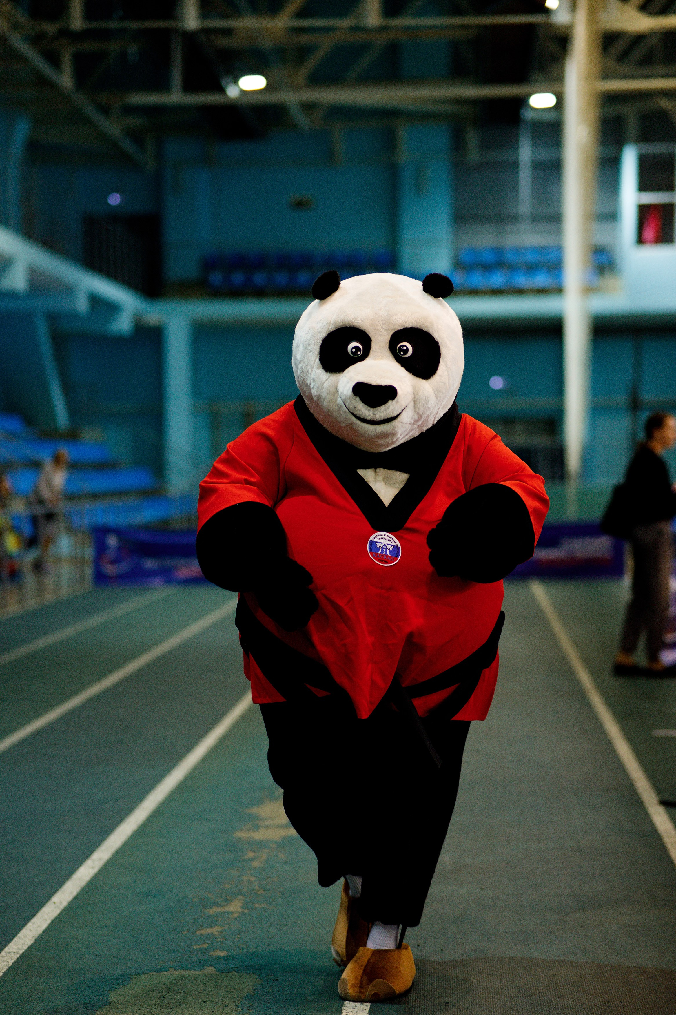 Тхэквондо СК «Каскад». Фотограф Дмитрий Молчанов | Фотограф Пермь | Фотограф