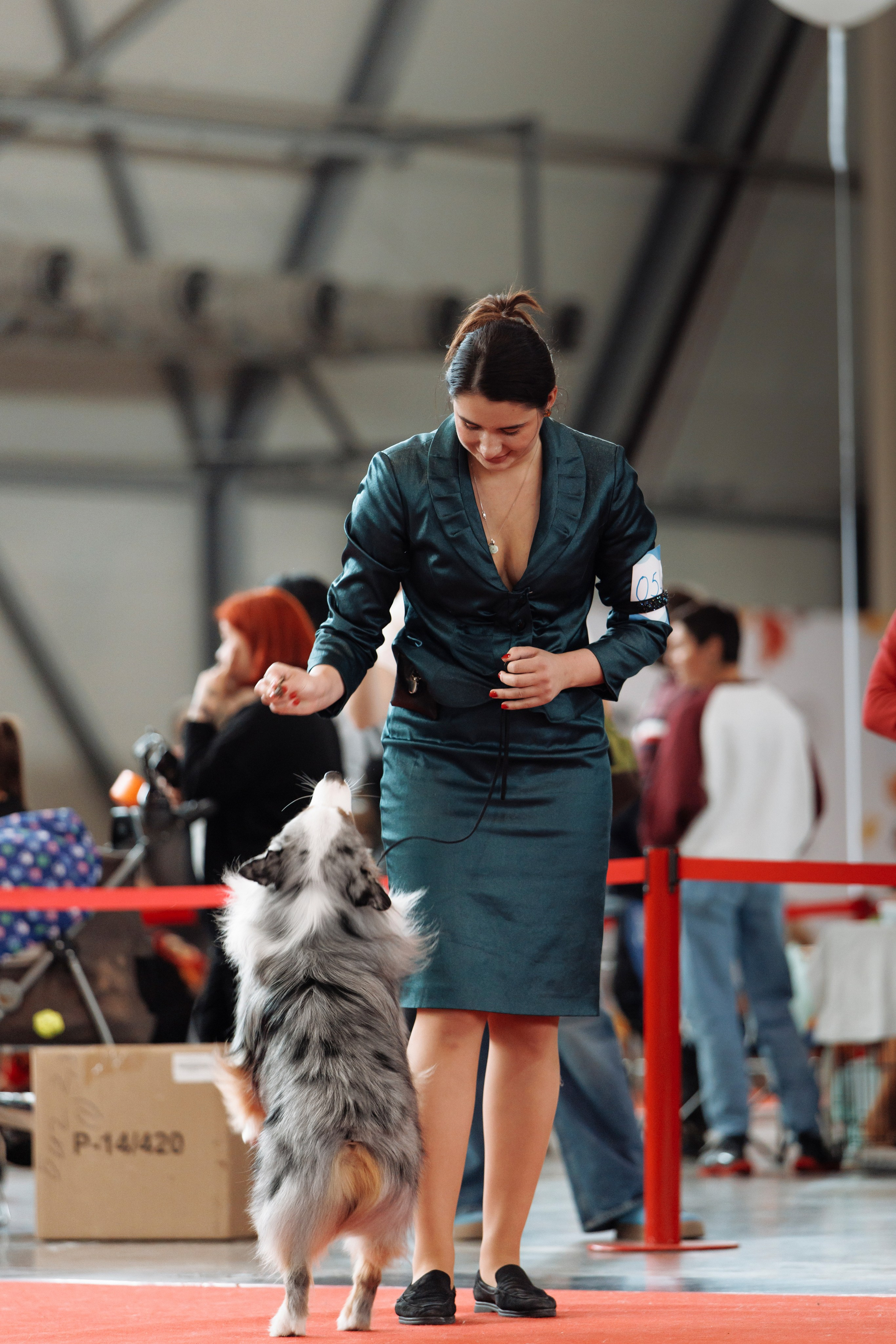 18/19.10.2025 — Екатеринбург. Фотограф-анималист Саша Вязьмина