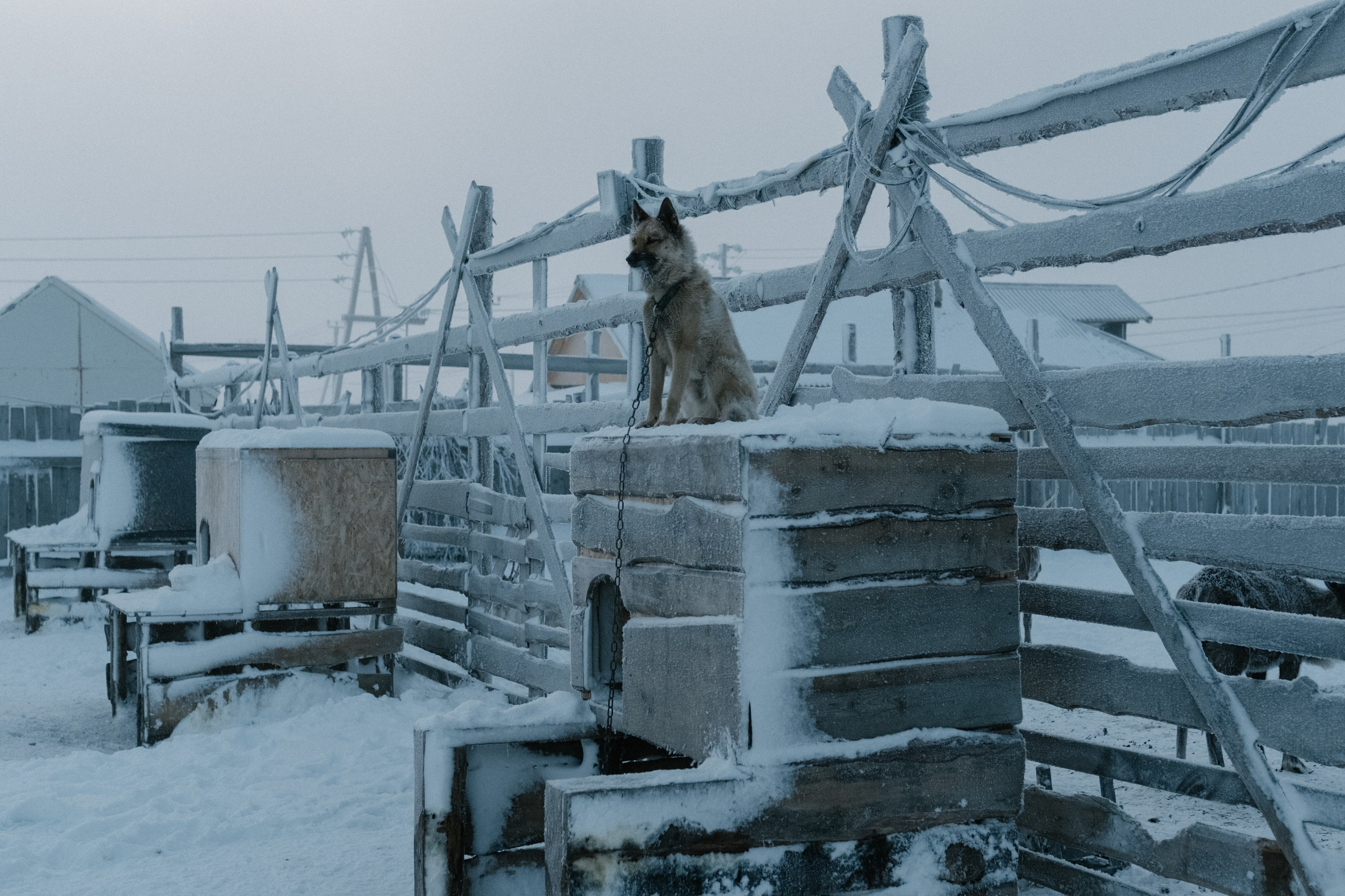 Фотографии Териберки | Филипп Линзин. Репортажный и портретный фотограф в Санкт-Петербурге Филипп Линзин