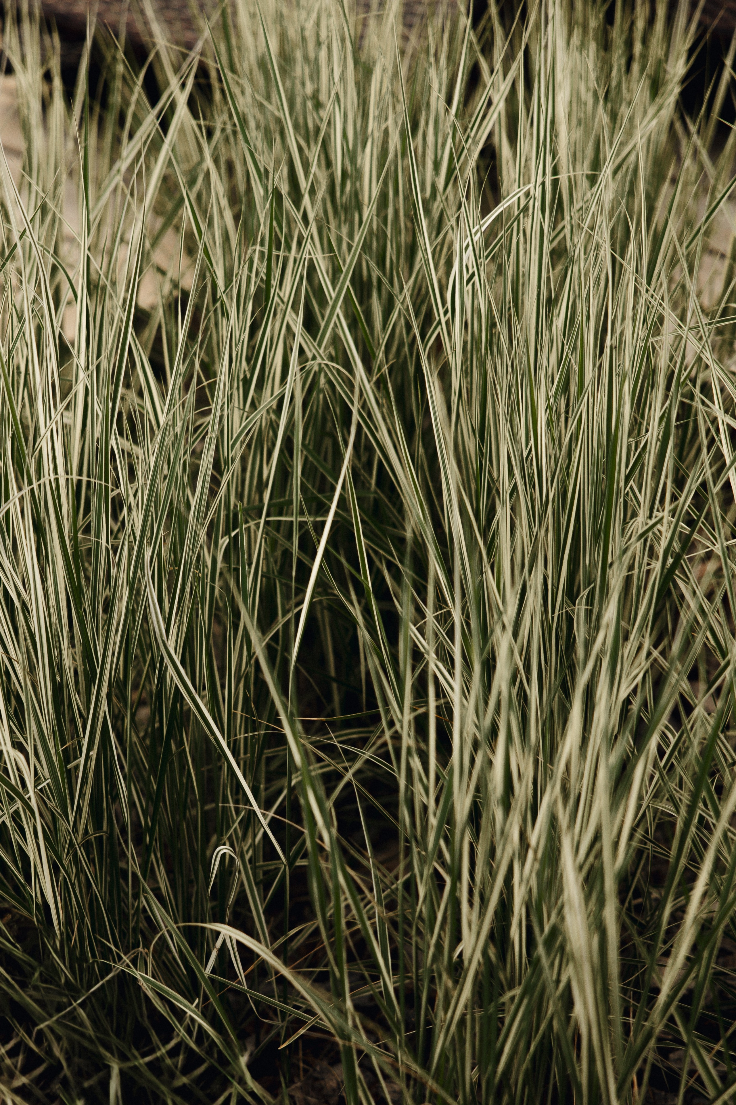 ОТЕЛЬ ВЕРТ. Свадебный и индивидуальный фотограф в Челябинске Евгения Негодяева