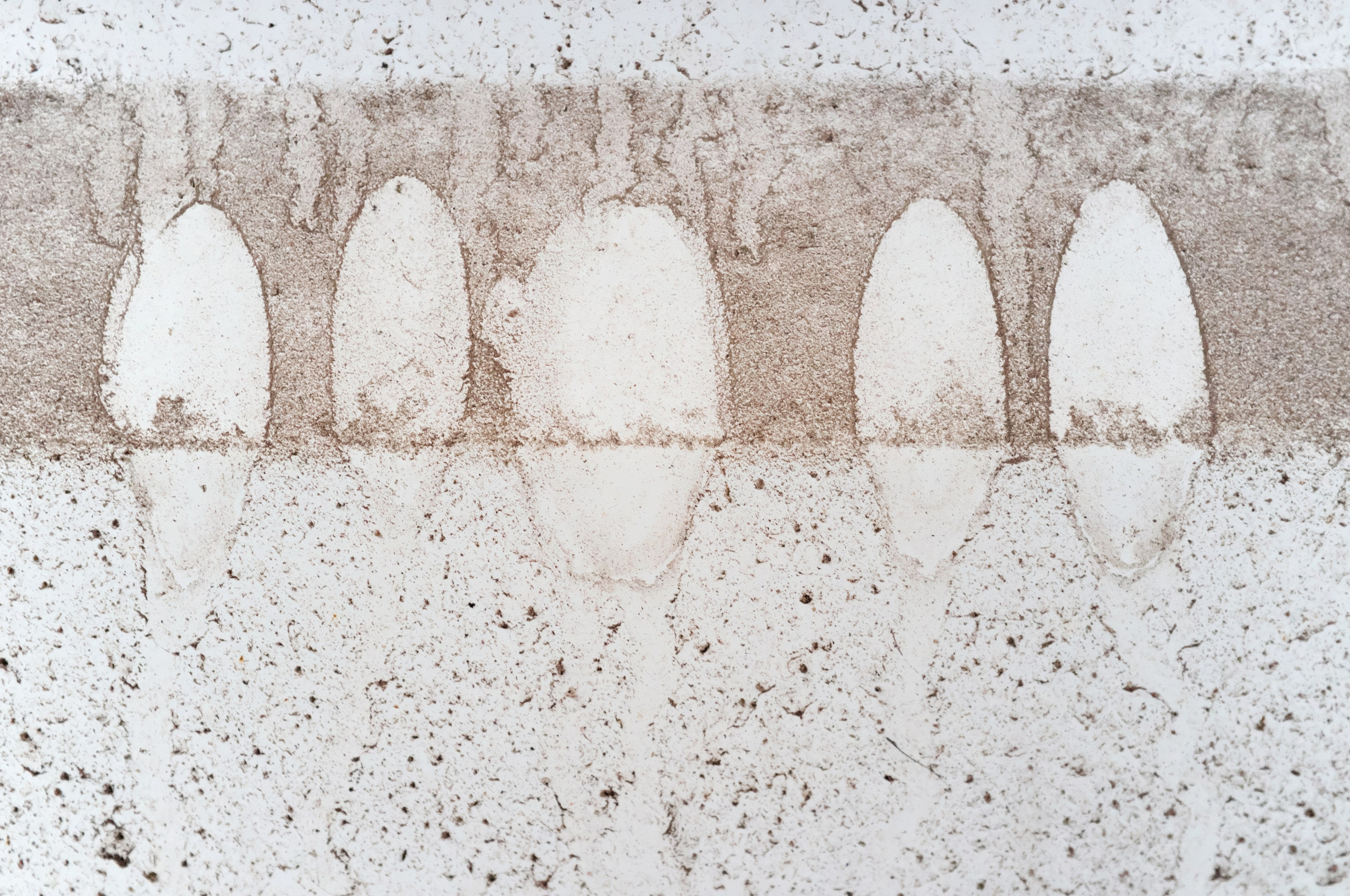 Стены. Миша Печёнкин | фотография