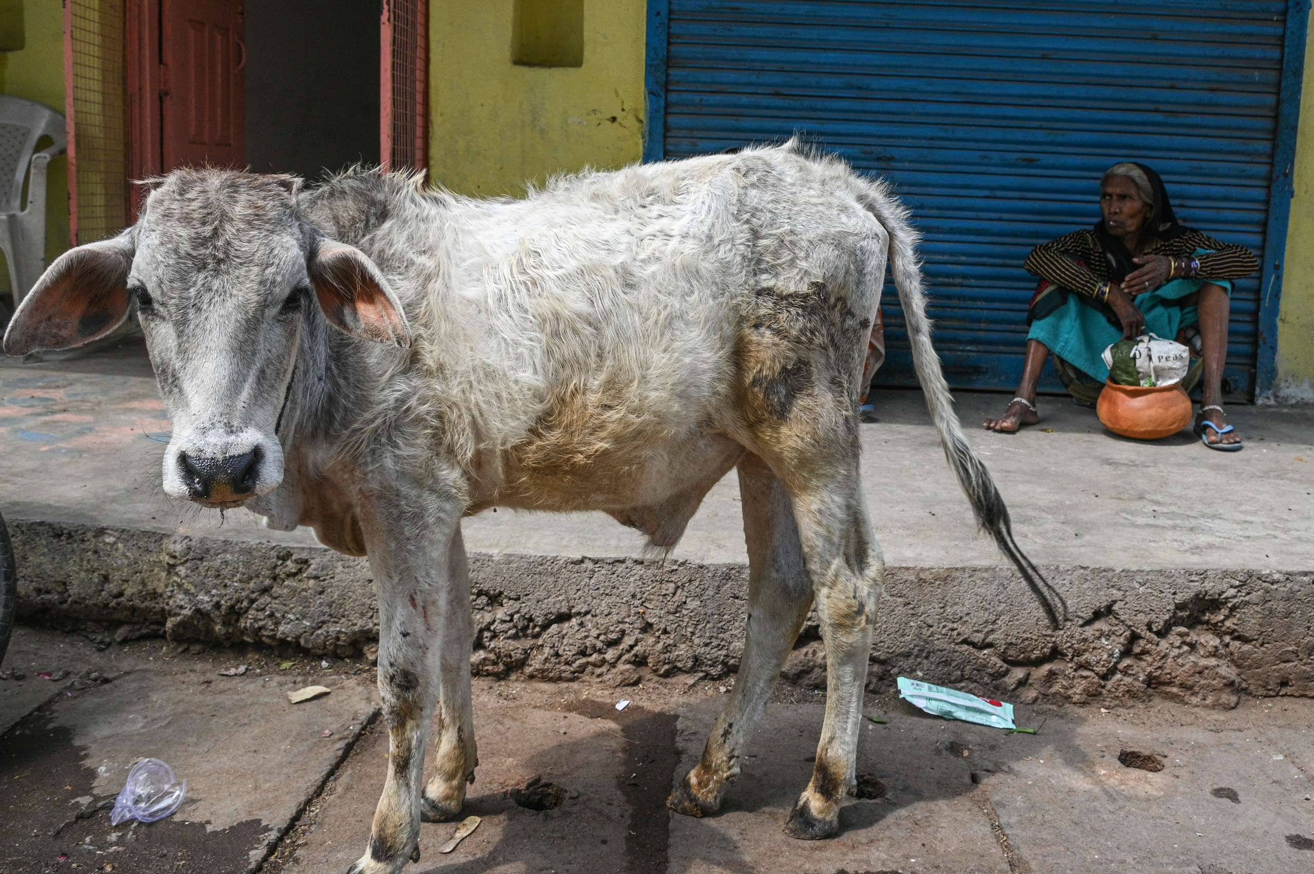 Невероятная Индия. Игорь Иванко — Репортажный и событийный фотограф. Москва