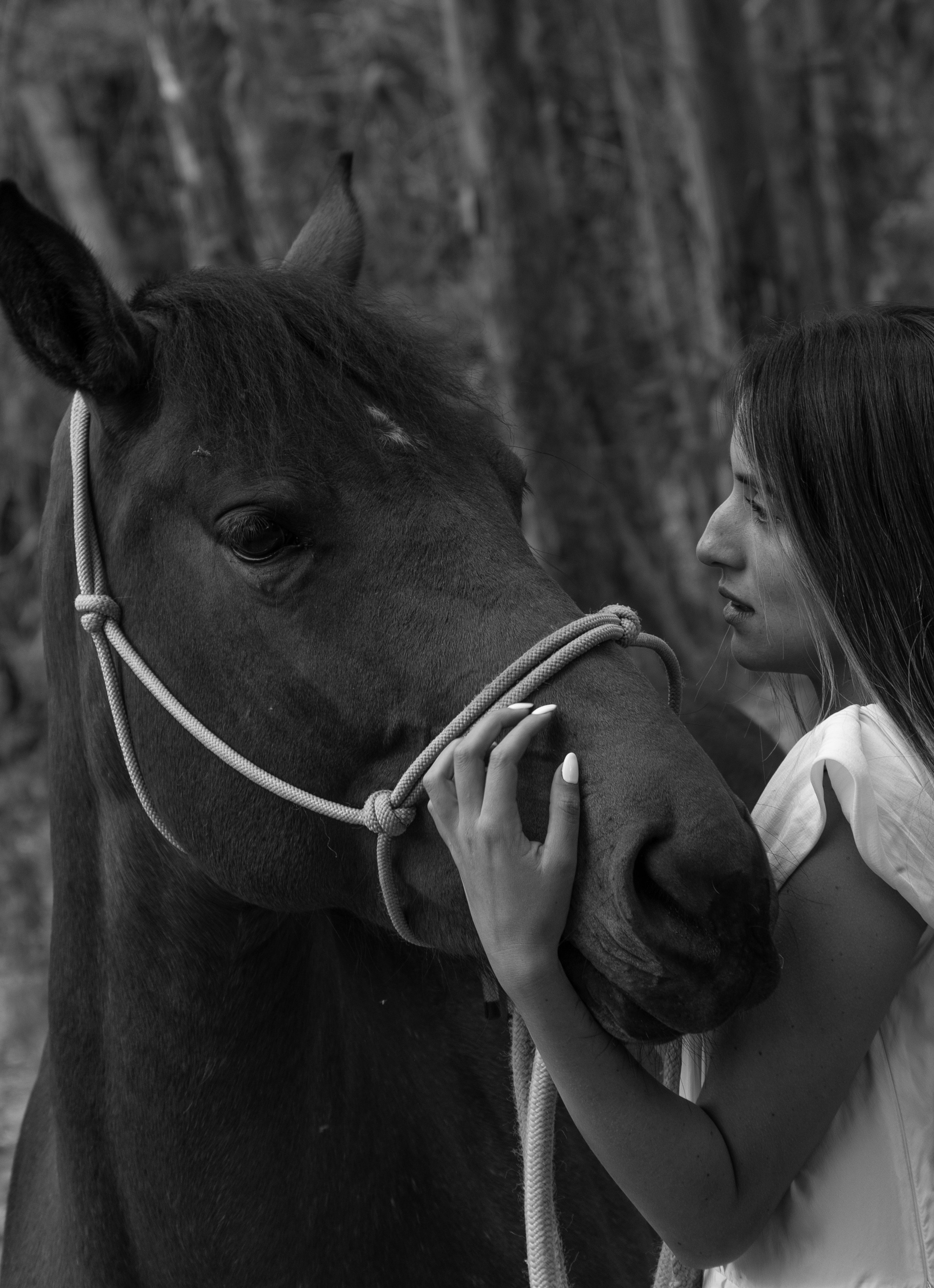 Preboda Aleja. Wedding Photographer in Barcelona and Medellin