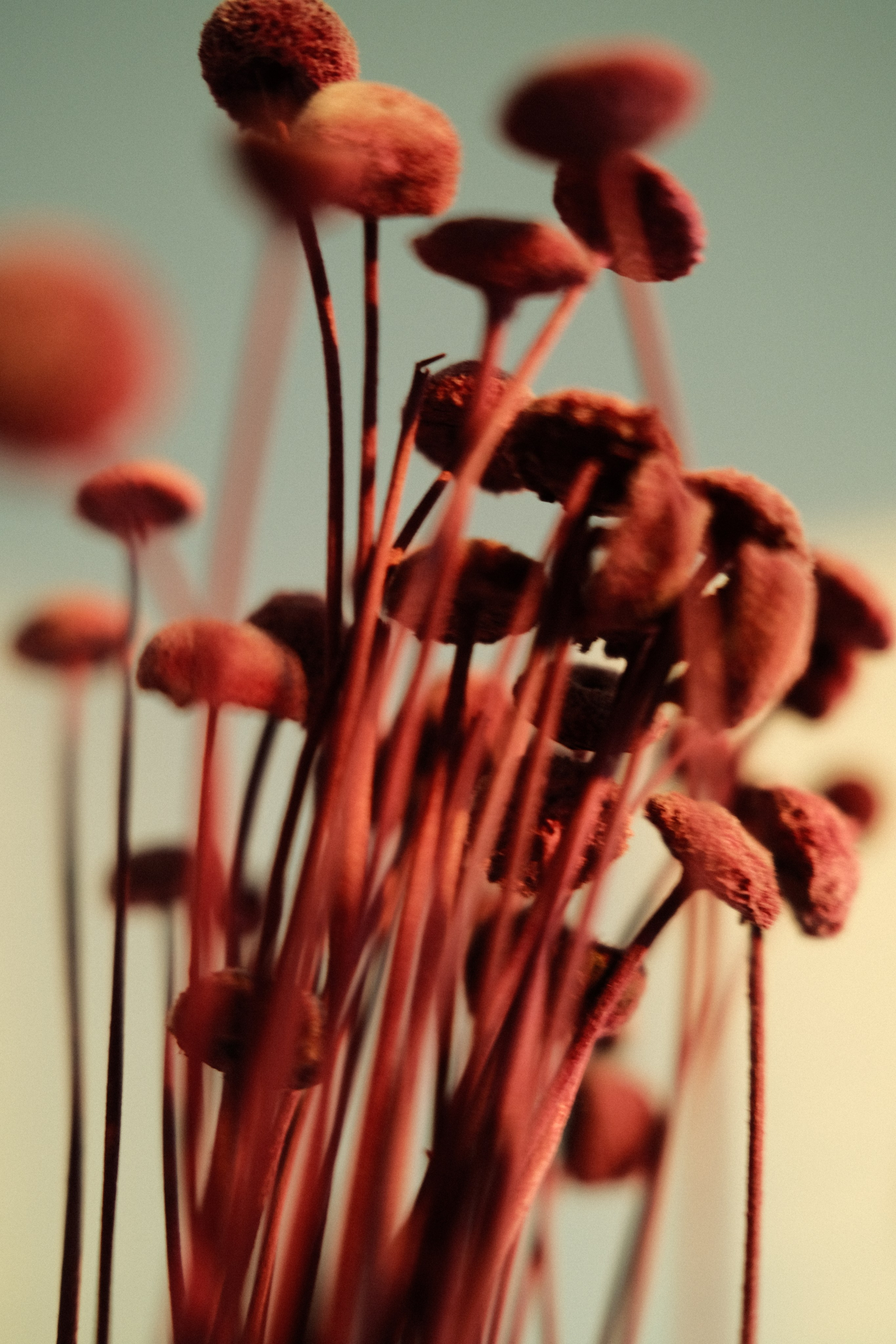 Невесомость. Портретный фотограф