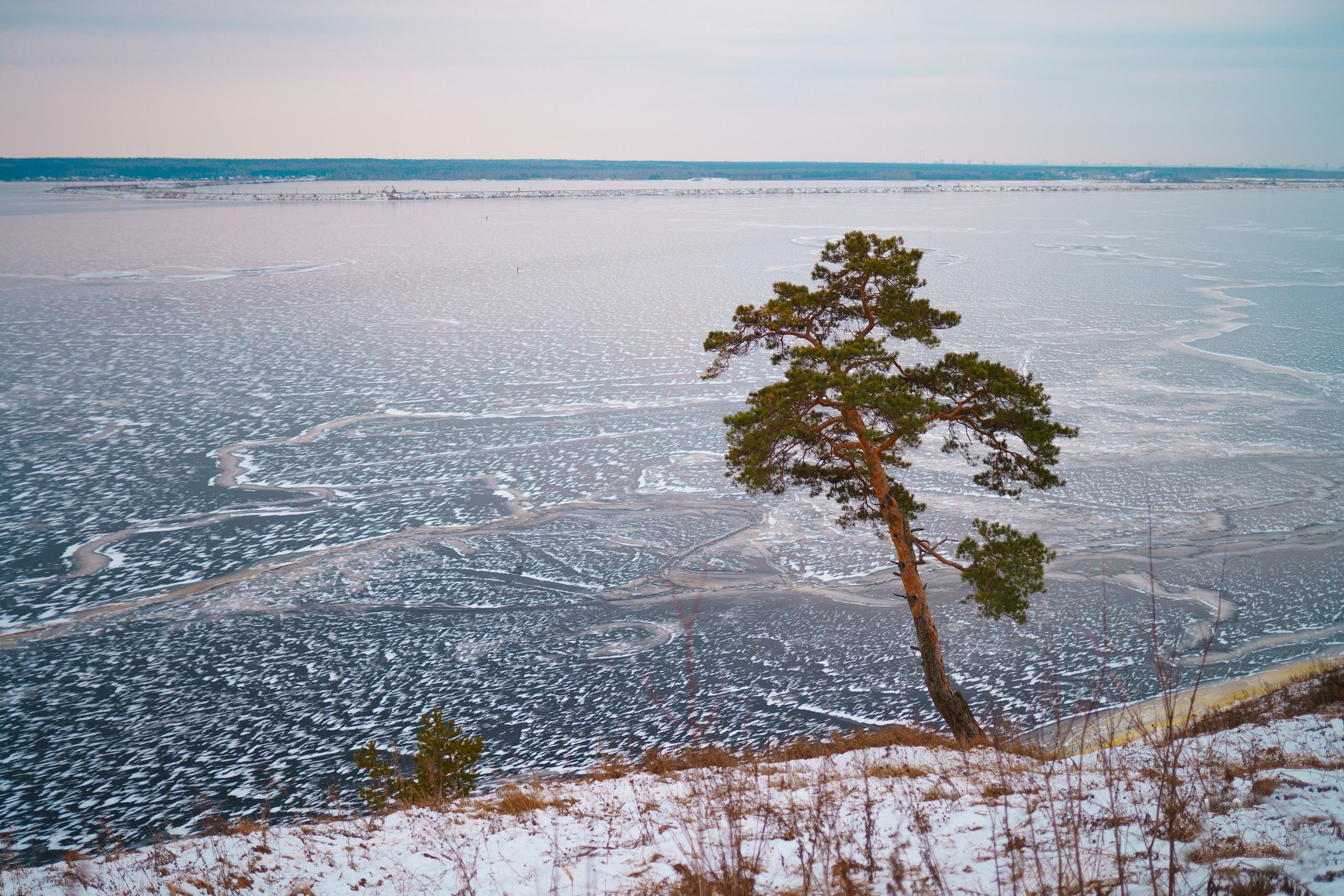 ЦВЕТНЫЕ ФОТОГРАФИИ. Никита Аничкин фото и видео оператор из России