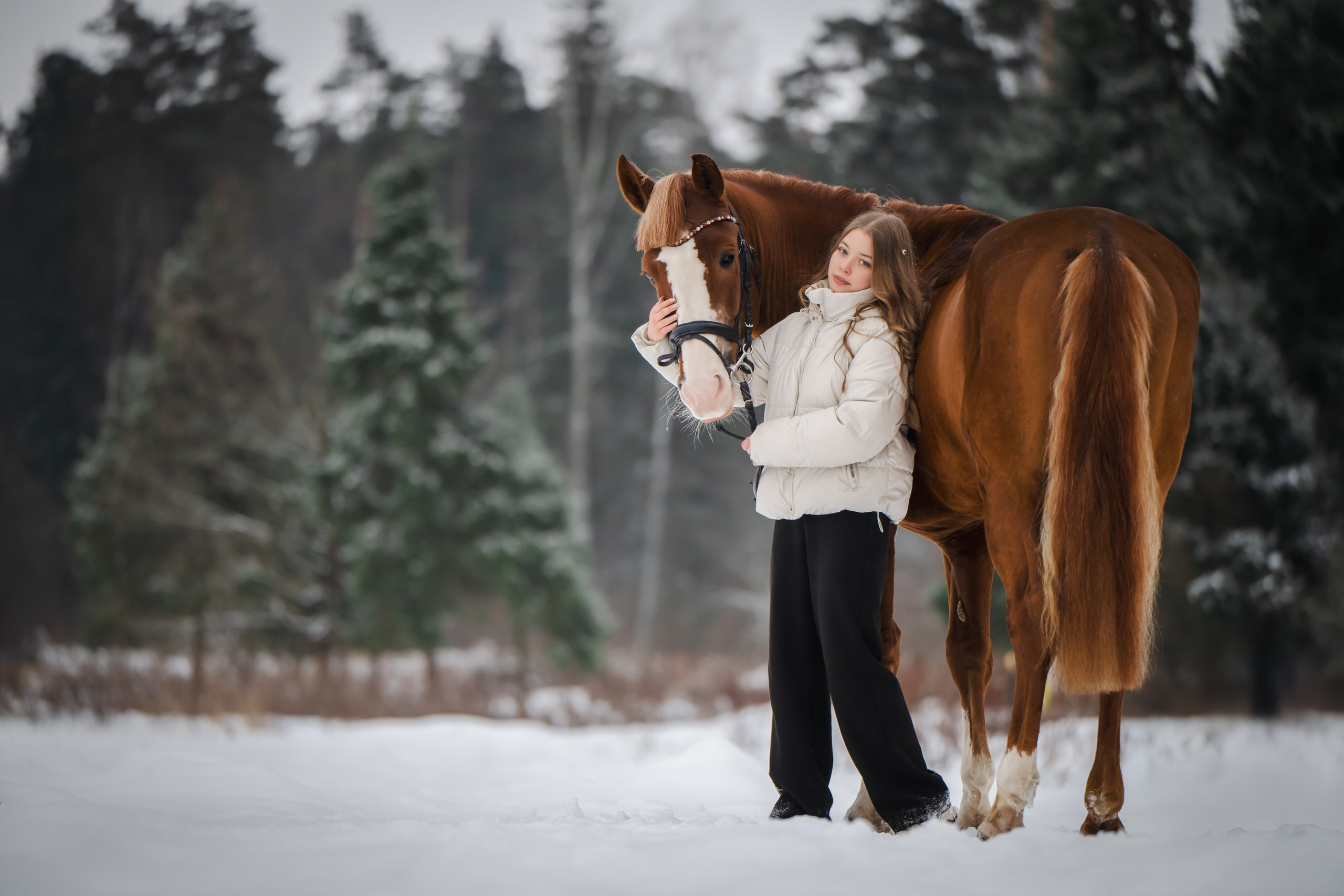 Виктория и Лео. Фотограф Анималист в Москве Анастасия Жучкова