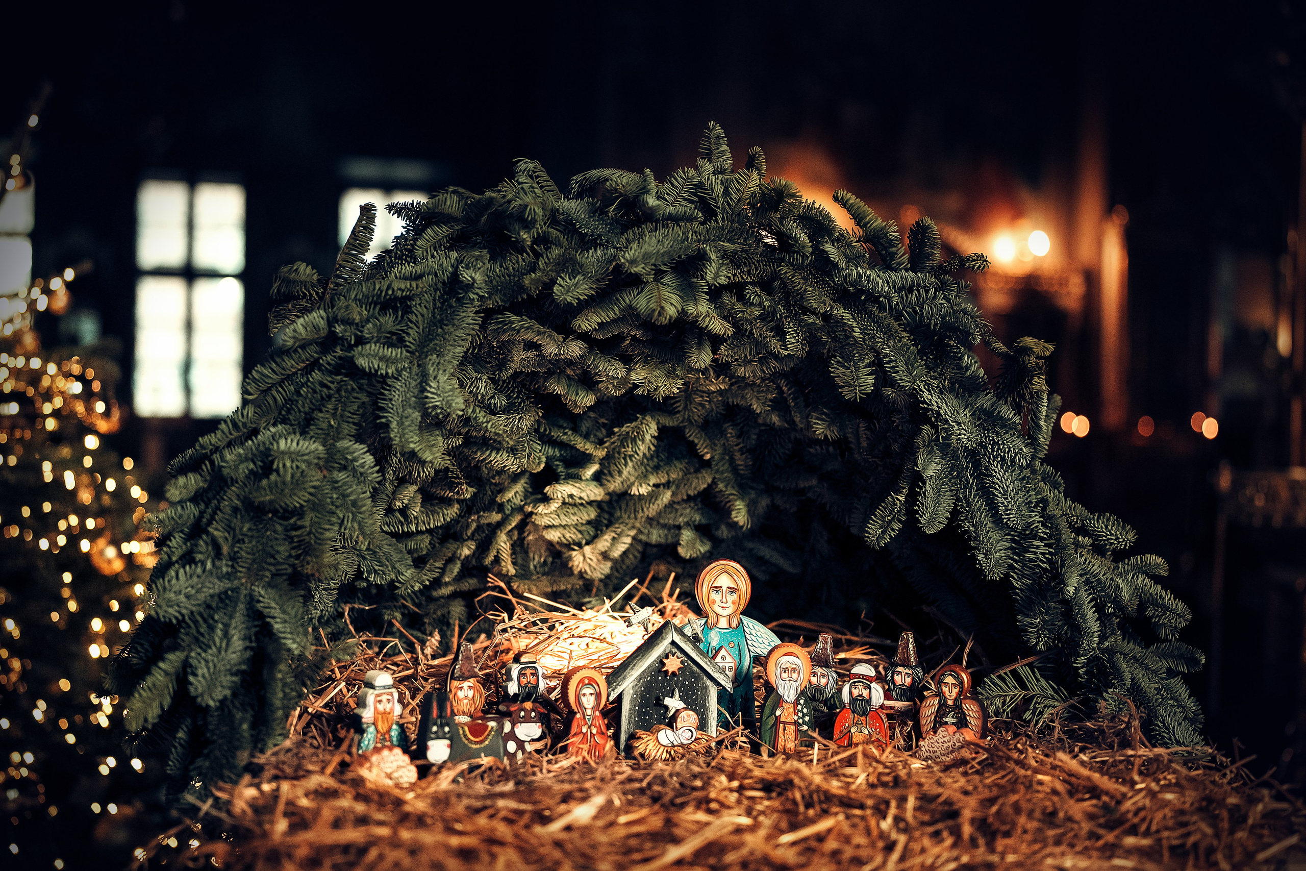 ФОТОССЕСИИ. Фотограф Елена Лунева