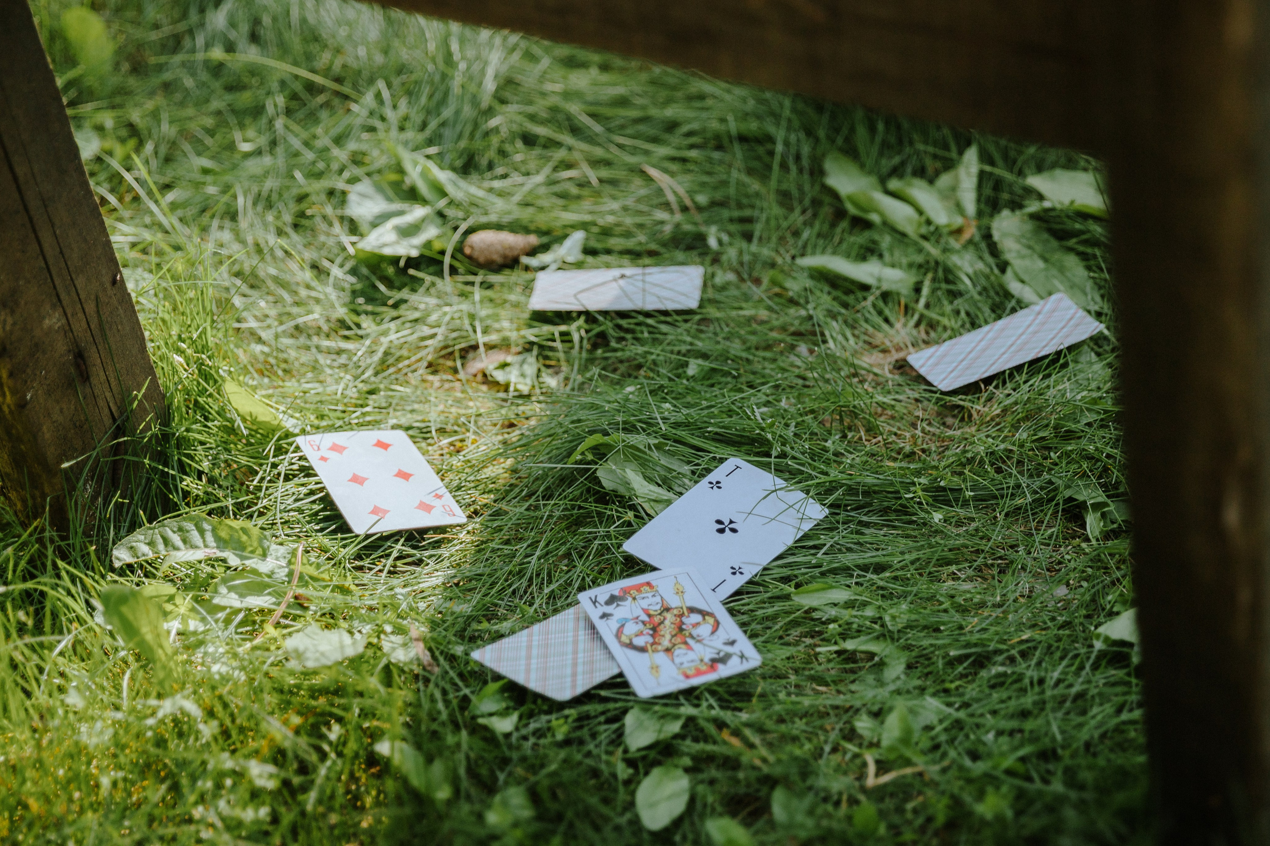 Игральные карты на траве.