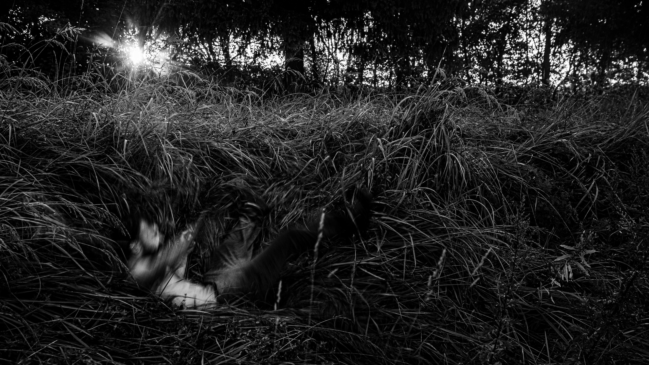 Коля. Черно-белый фотограф Дмитрий Пчелкин