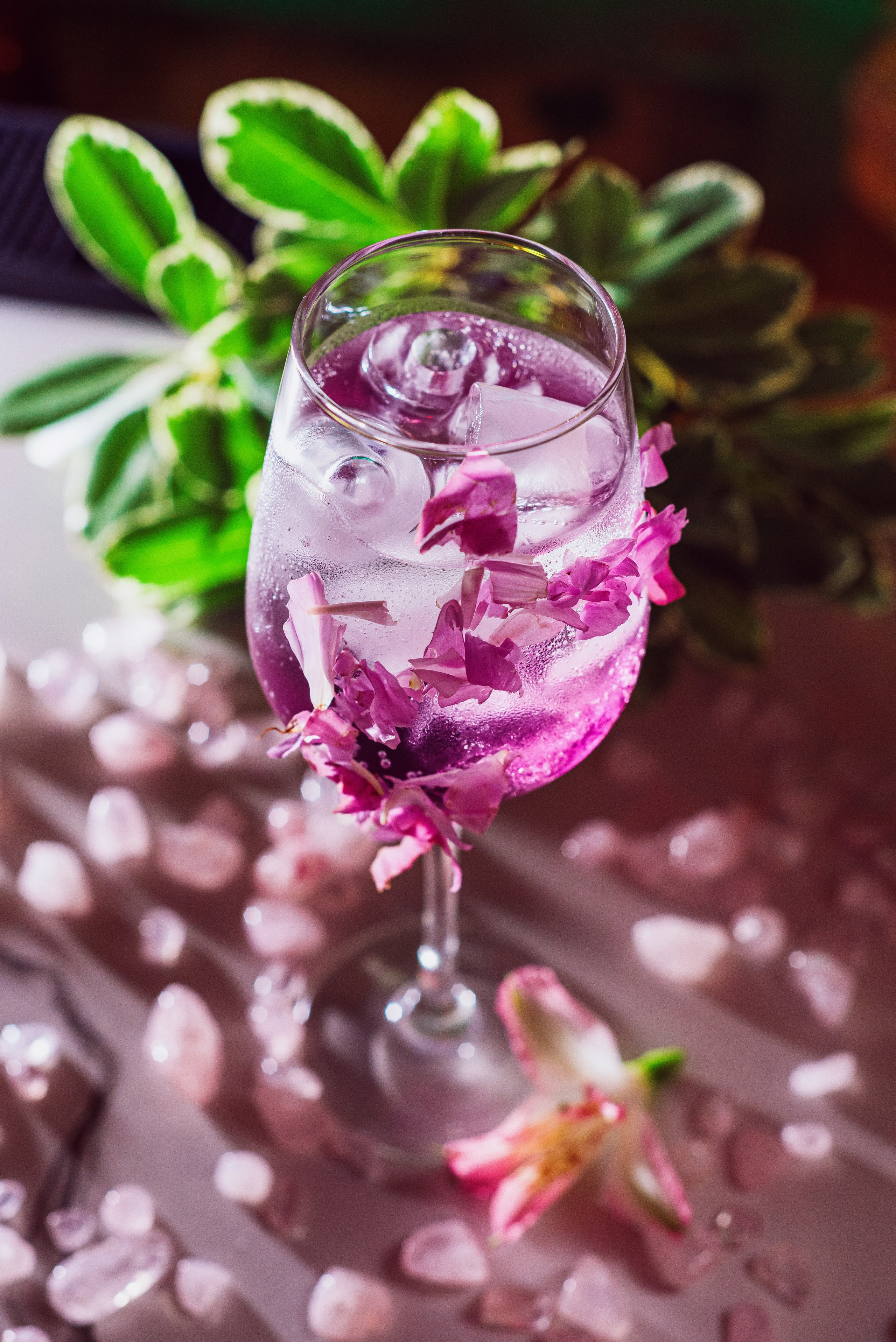 Bali Bar. Фотограф в Москве