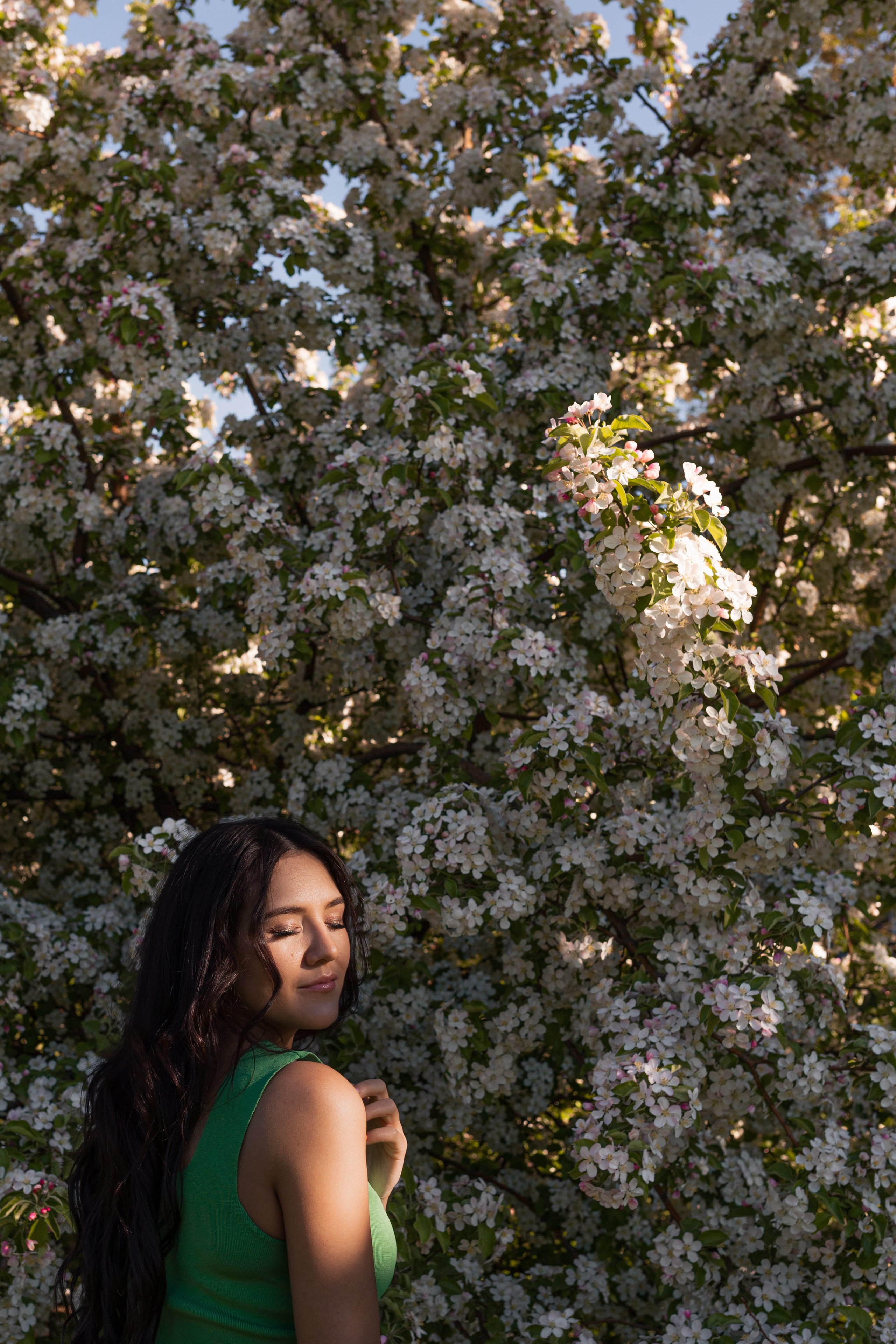 Цветение. Главная