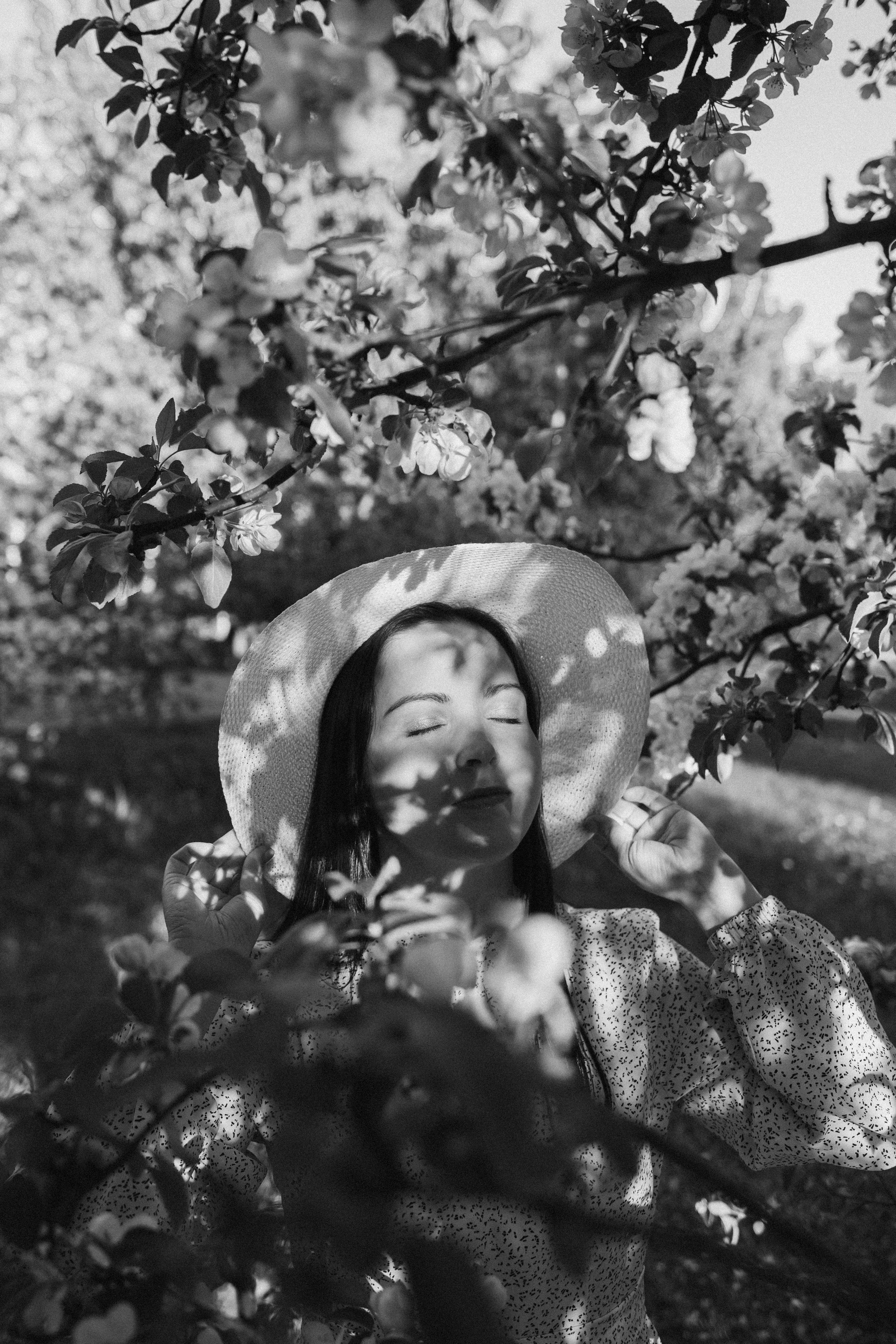 Цветение. Главная