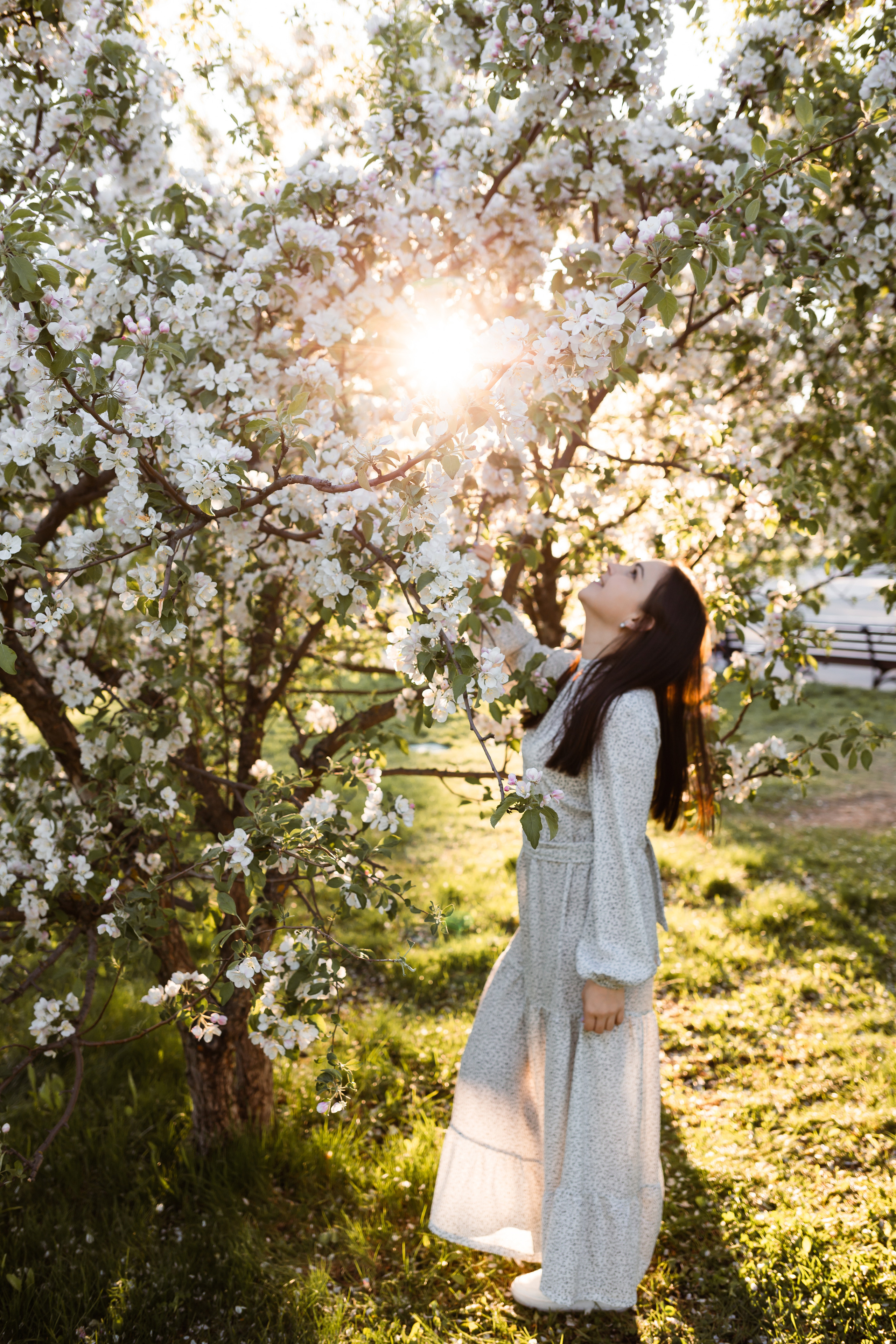 Цветение. Главная