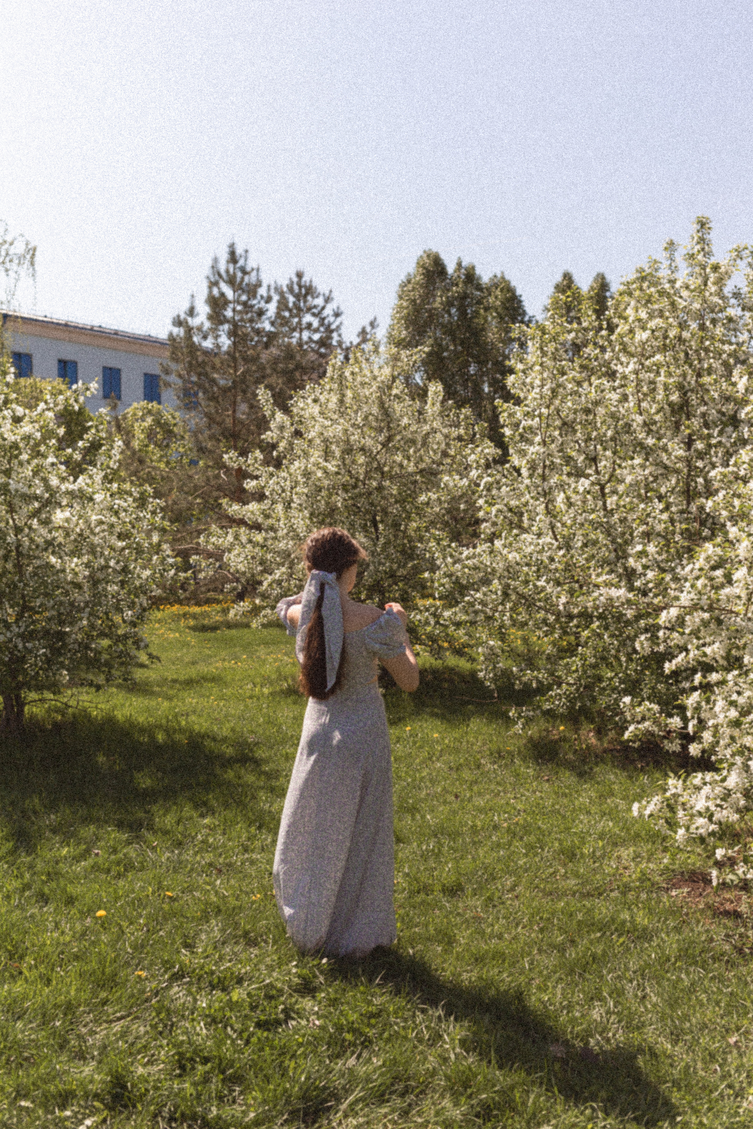 Цветение. Главная