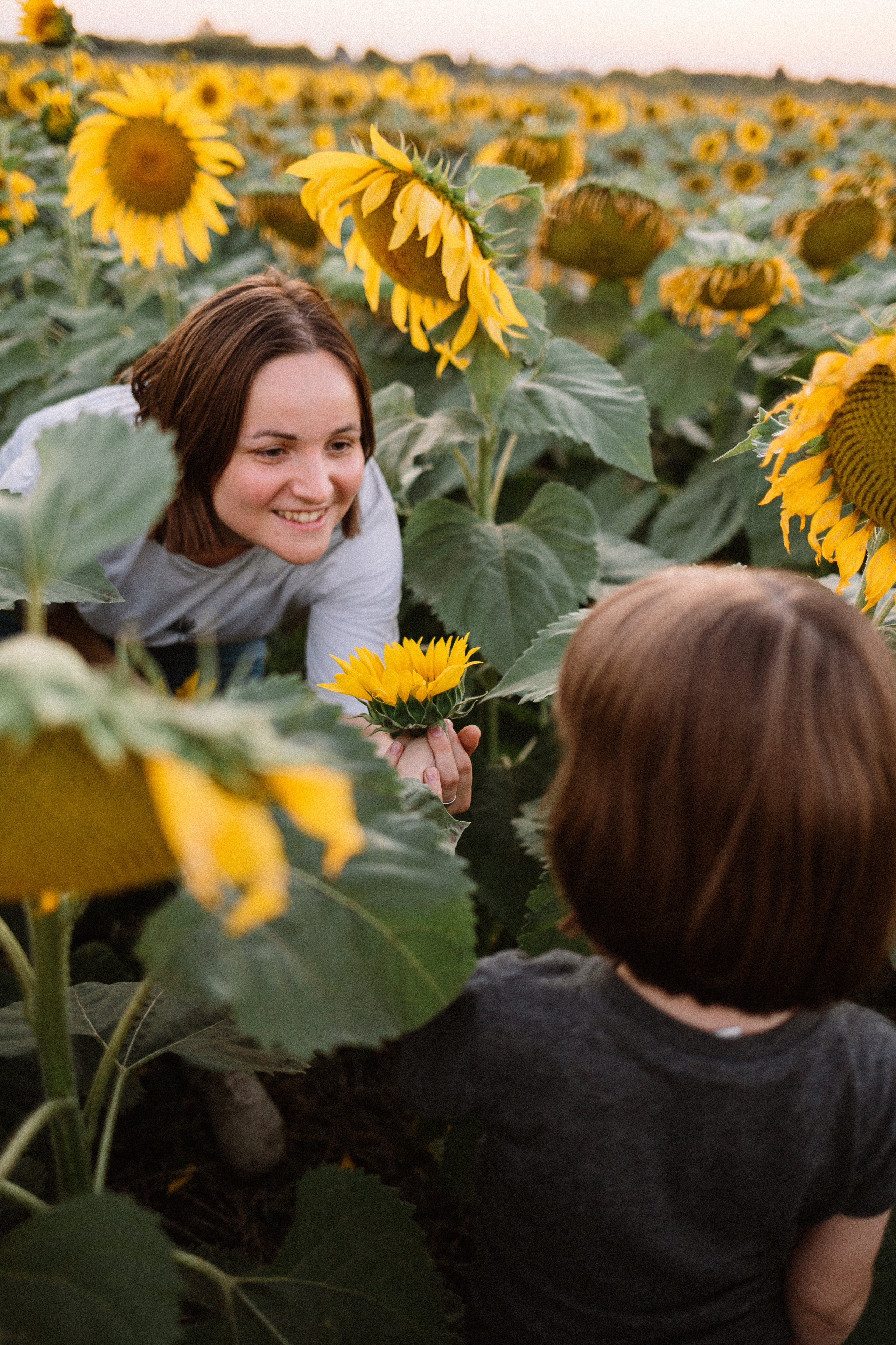 Семейные. Главная