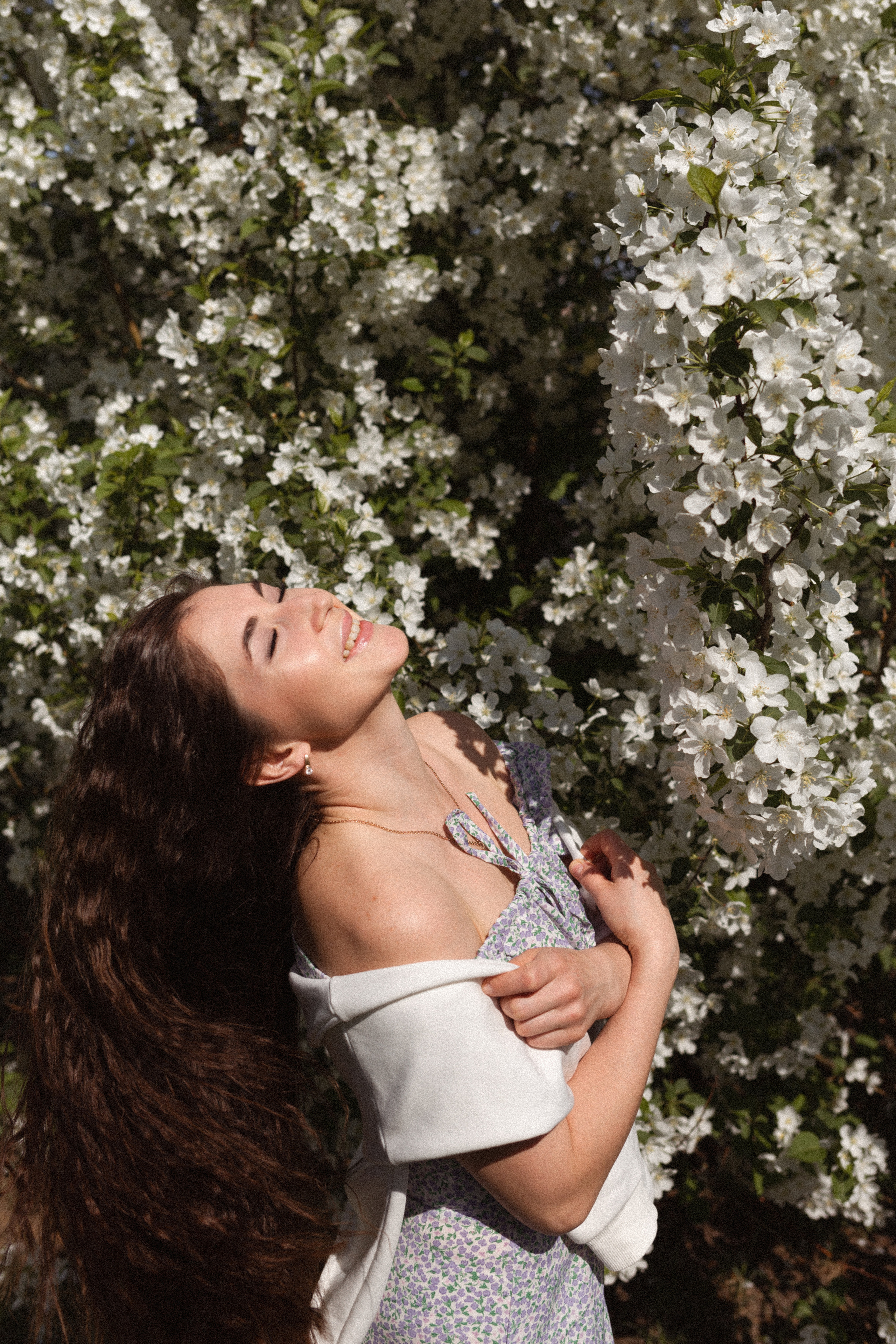 Цветение. Главная