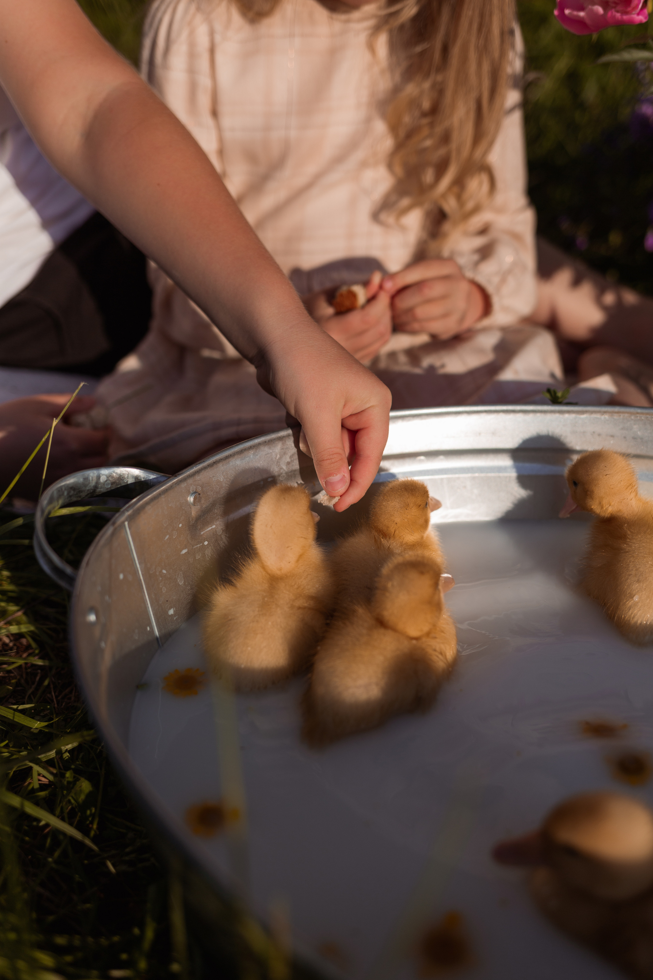 Фотодень «Утята». Главная