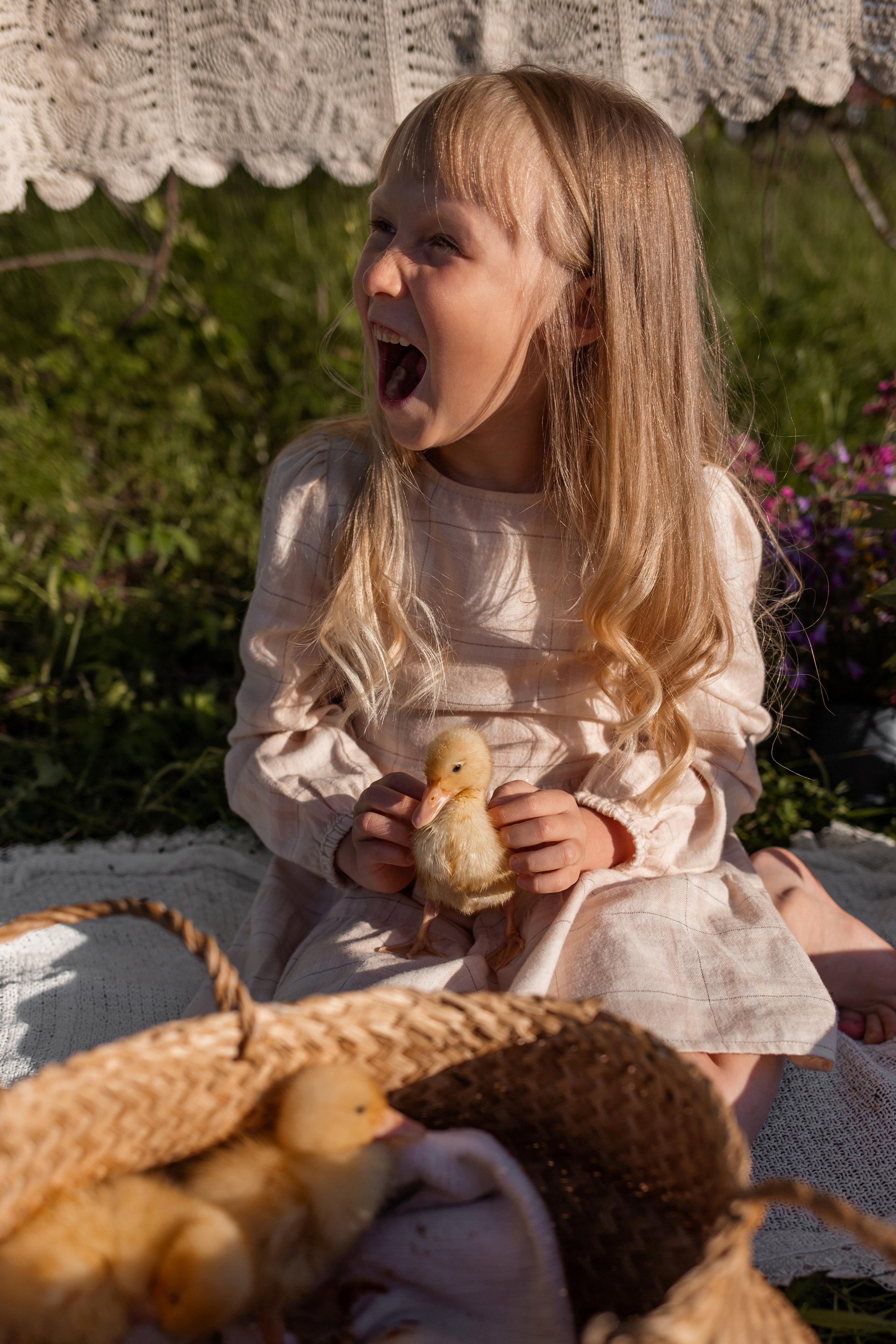 Фотодень «Утята». Главная