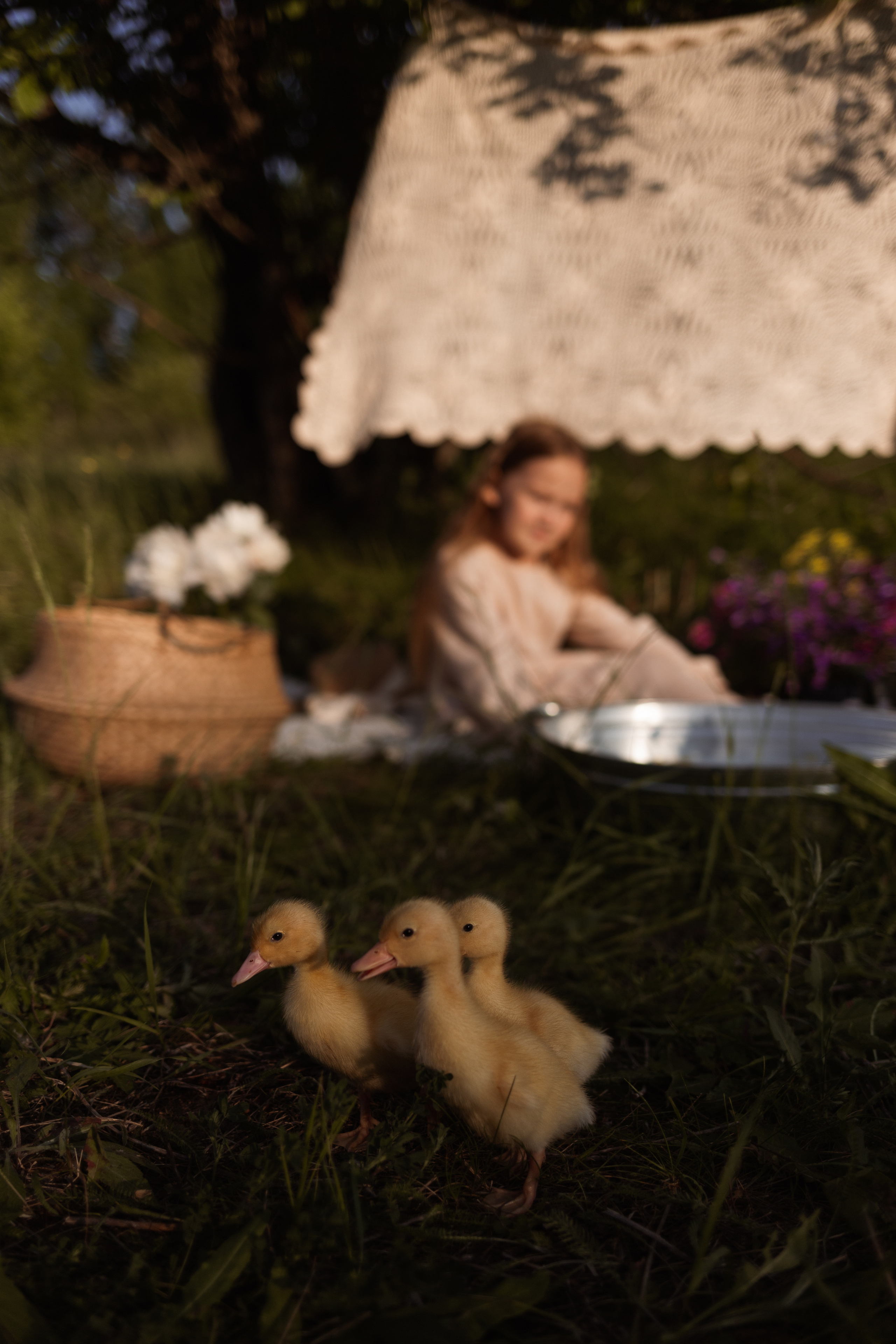 Фотодень «Утята». Главная