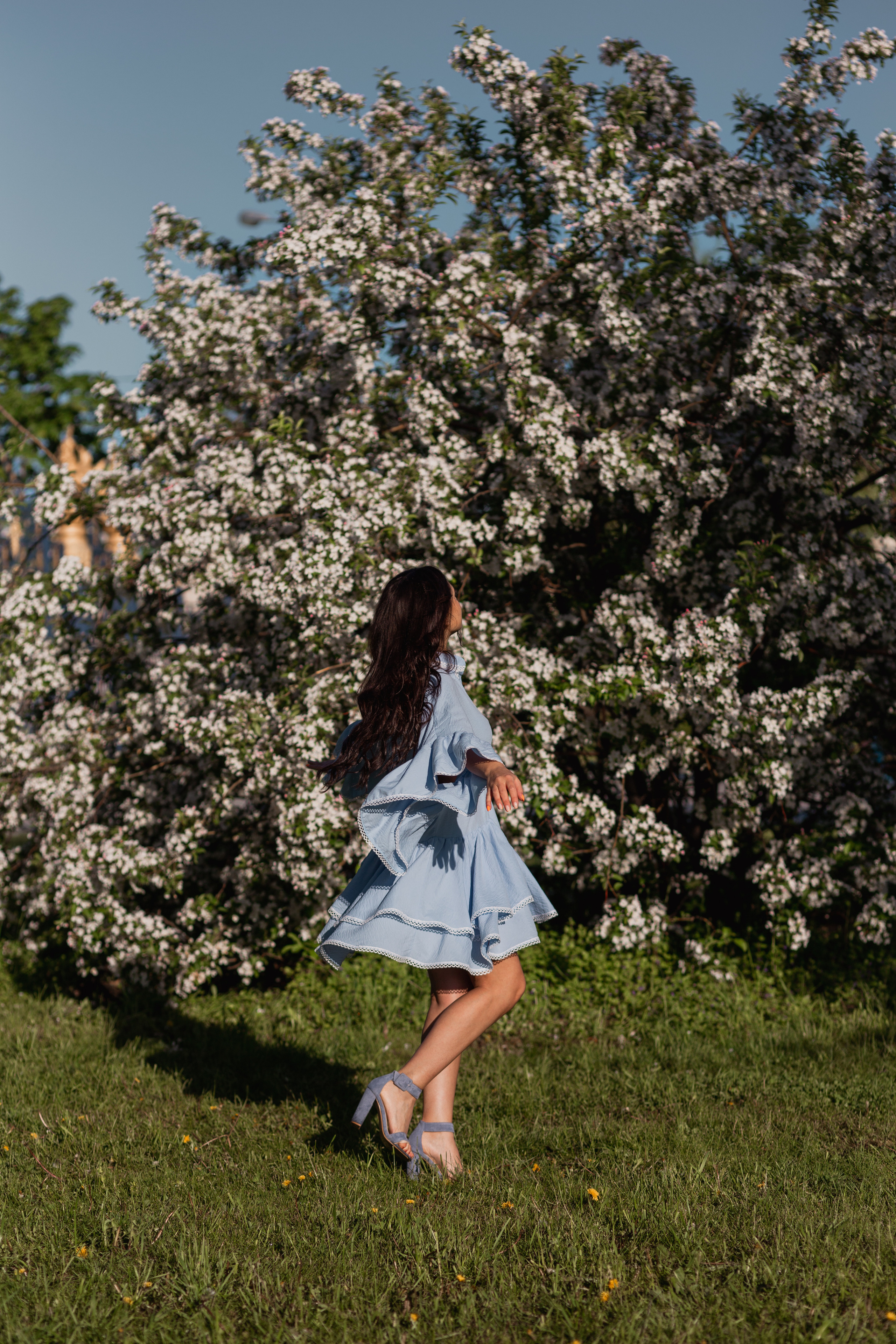 Цветение. Главная