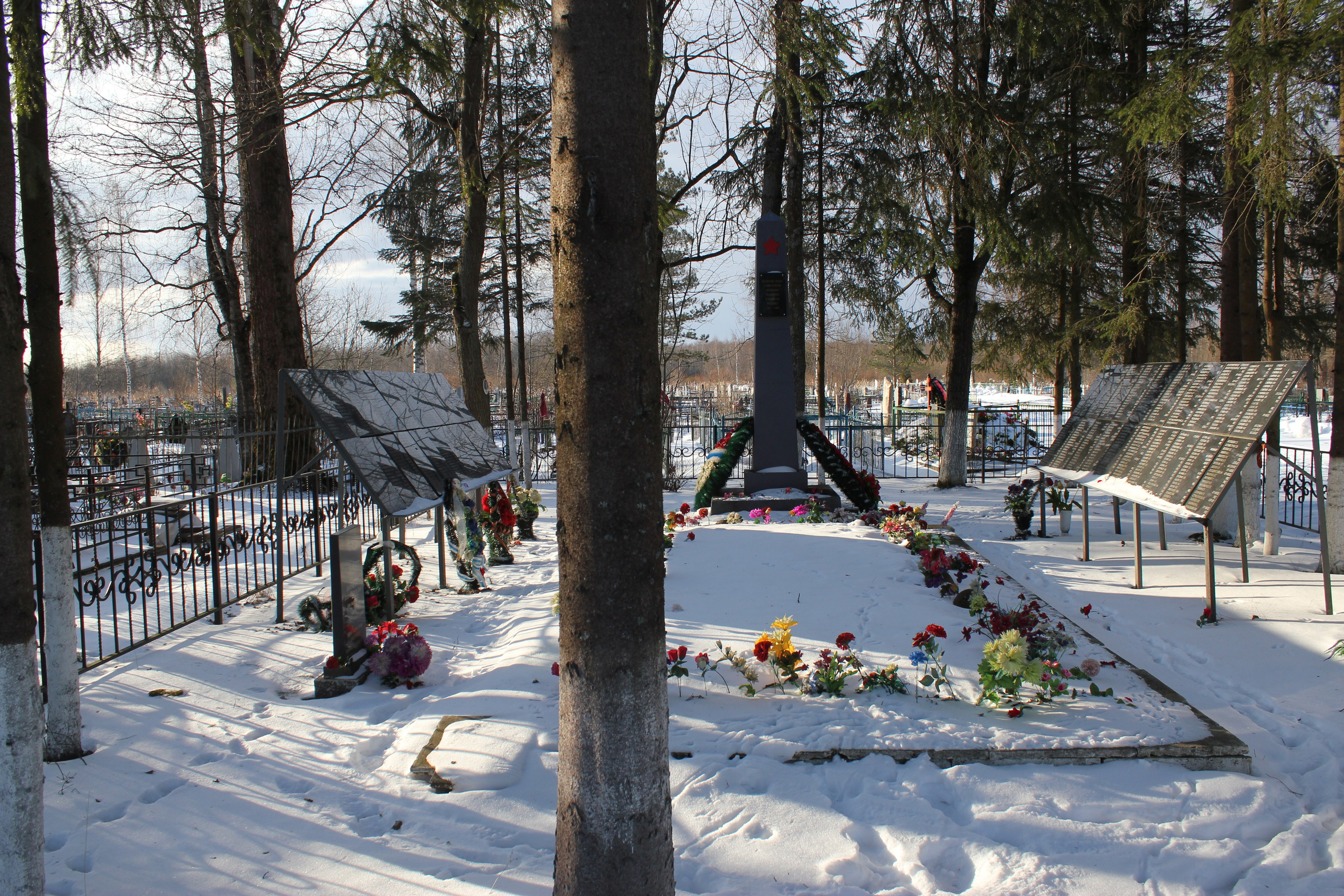 Общий вид захоронения. История Назиевского городского поселения